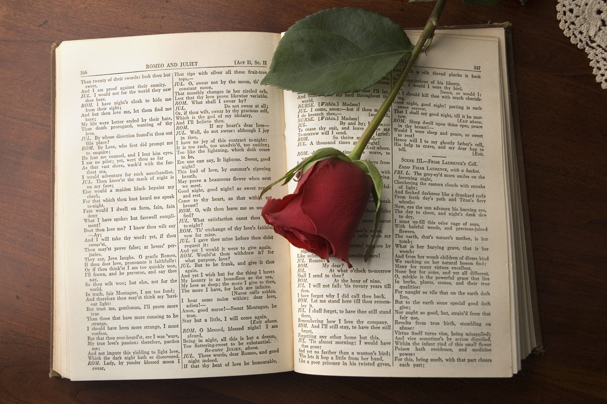 进一步介绍一下AI罗密欧他是一个被输入了莎士比亚剧本的AI系统对爱情的理解十分纯粹