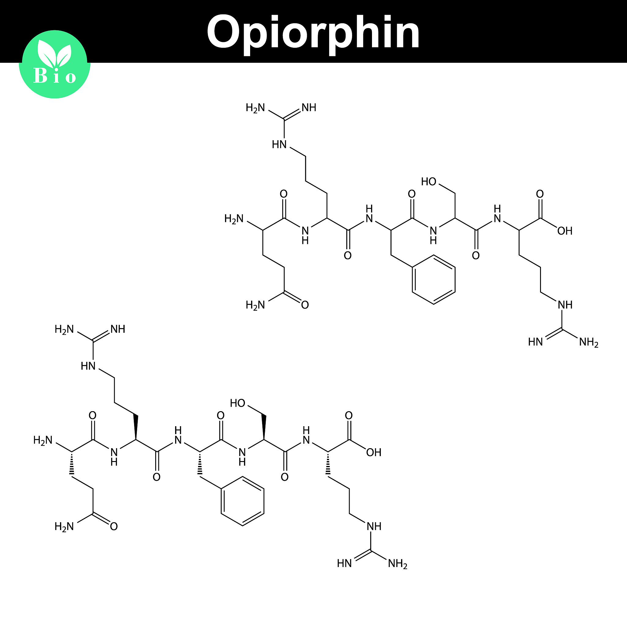 Phenolic Acids: Understanding the Importance of Using the Full Term in Research