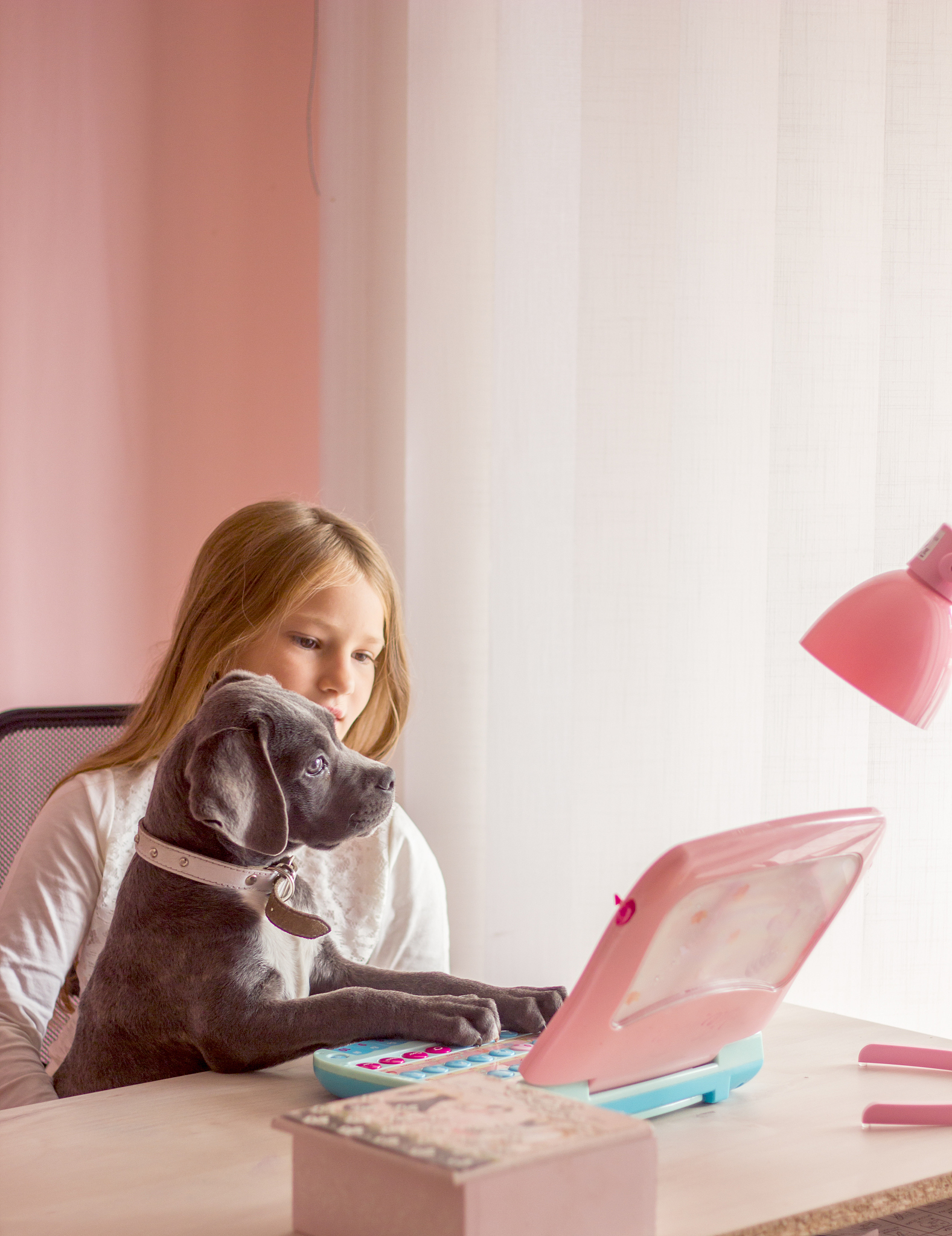 数字44的含义：象征着爱、和平与友谊