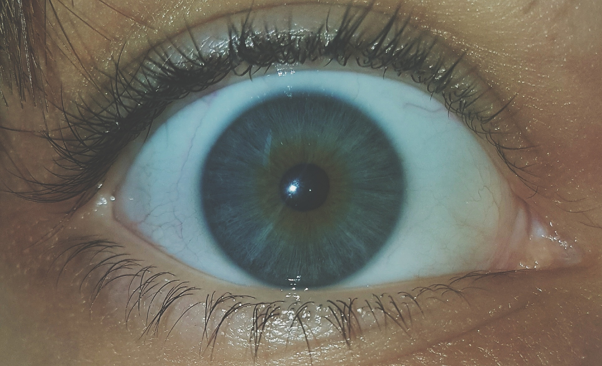 cropped image of woman eye