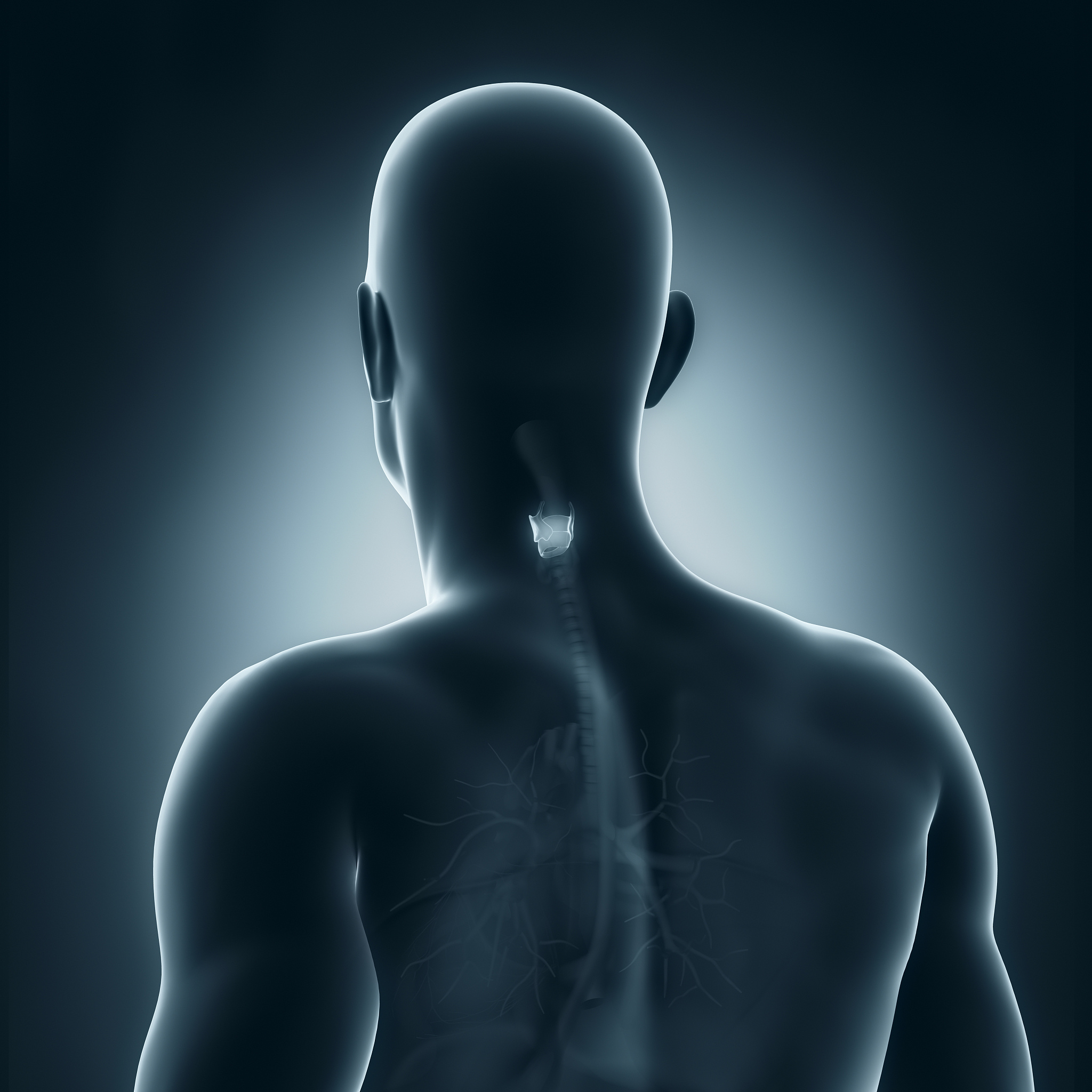 藏青果喉片和薄荷口香糖哪个更有效？