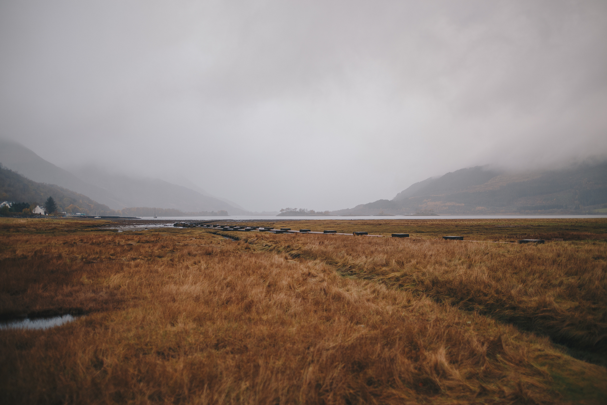 关于四季景色的现代诗 八句话