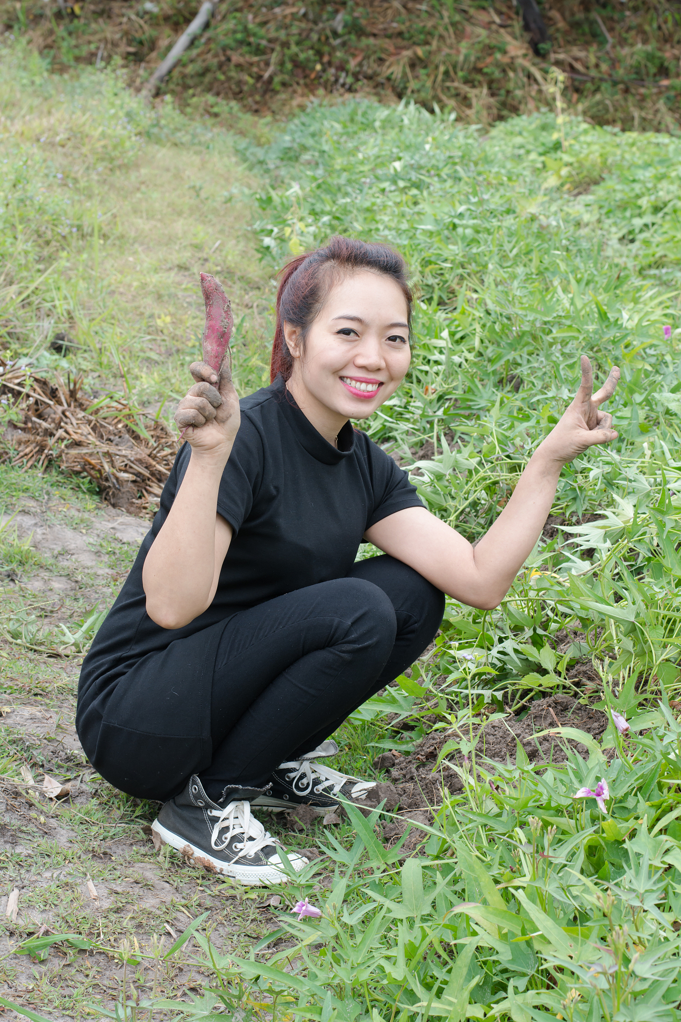 woman farmer harvesting sweet potato