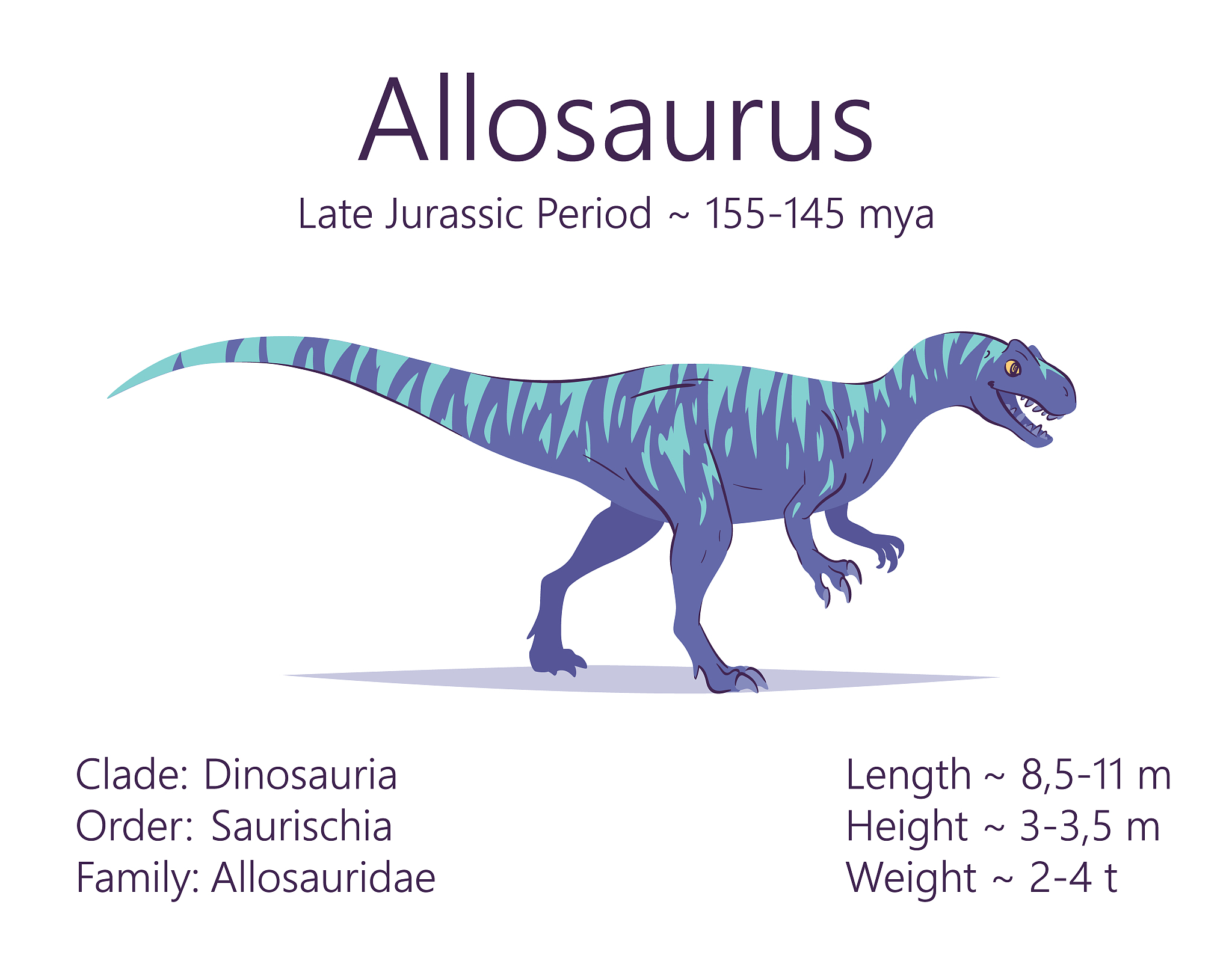 allosaurus. theropoda dinosaur. colorful vector illustration of 