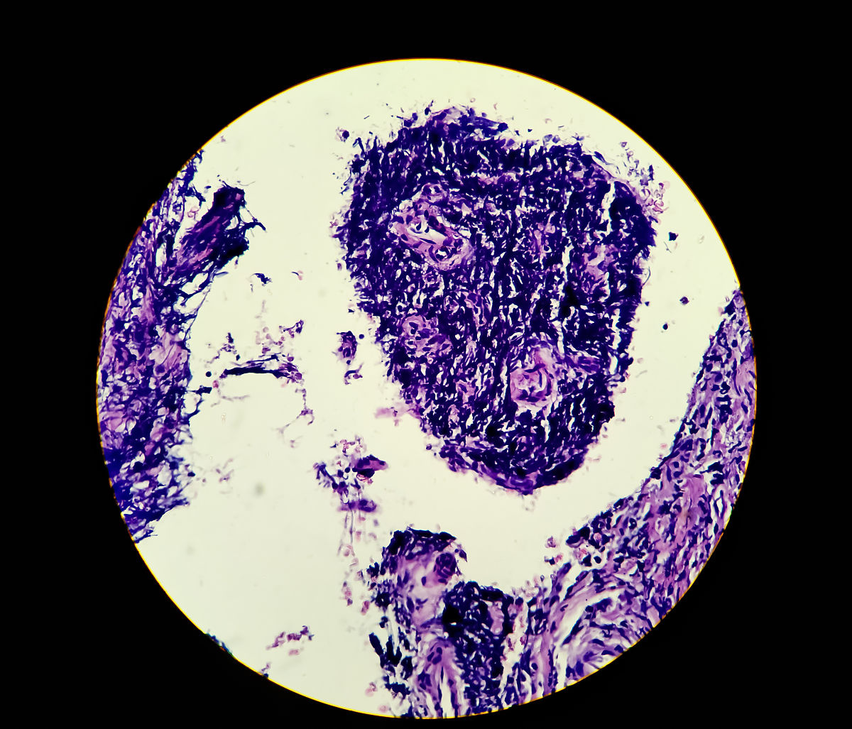 晋中师范高等专科学校陶瓷设计与工艺专业如何好学吗-怎么样