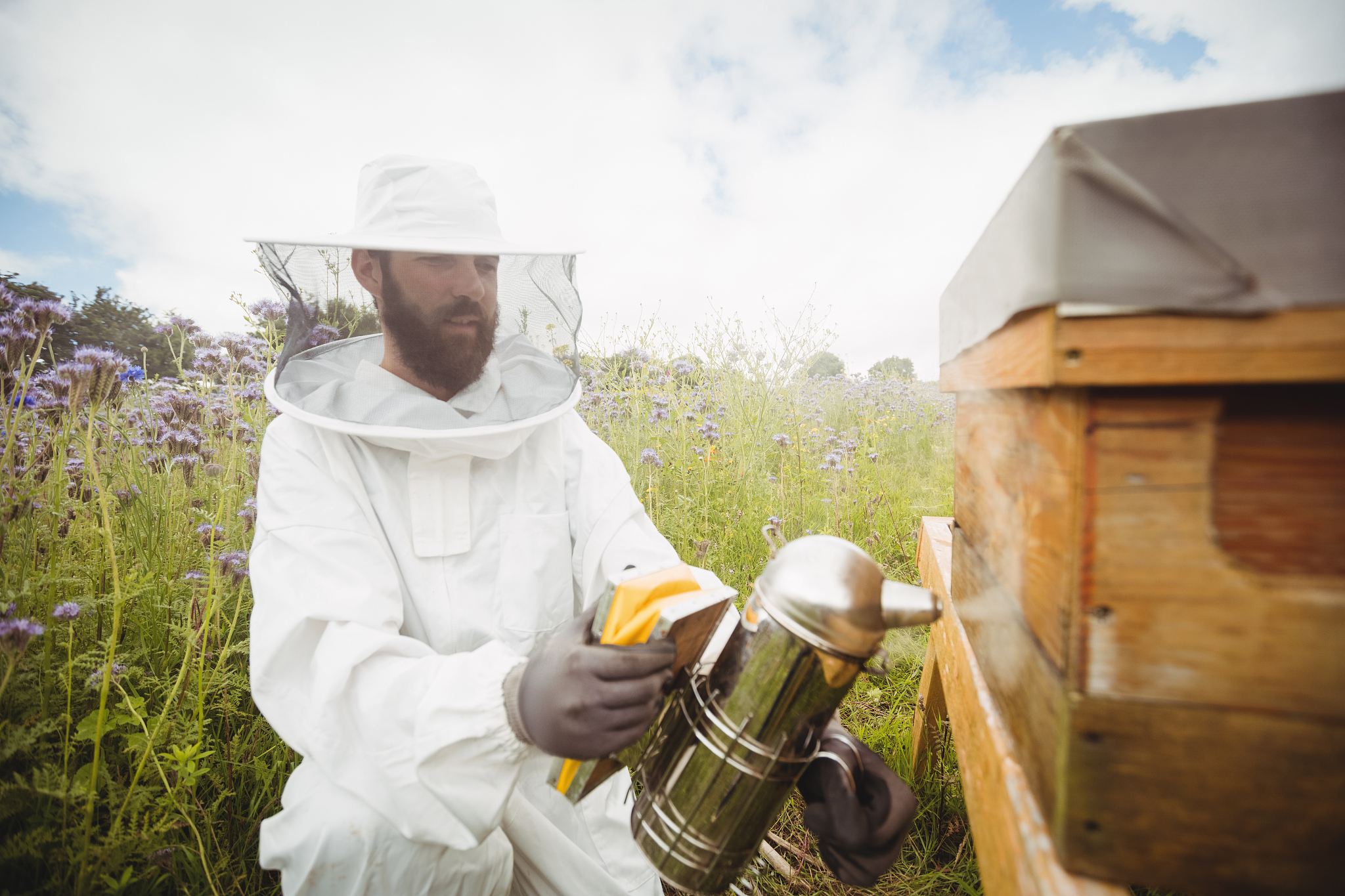 你是研究农药和昆虫的科学家请帮我综述总结关于拯救和帮助蜜蜂抵抗农药的毒害的研究进展。