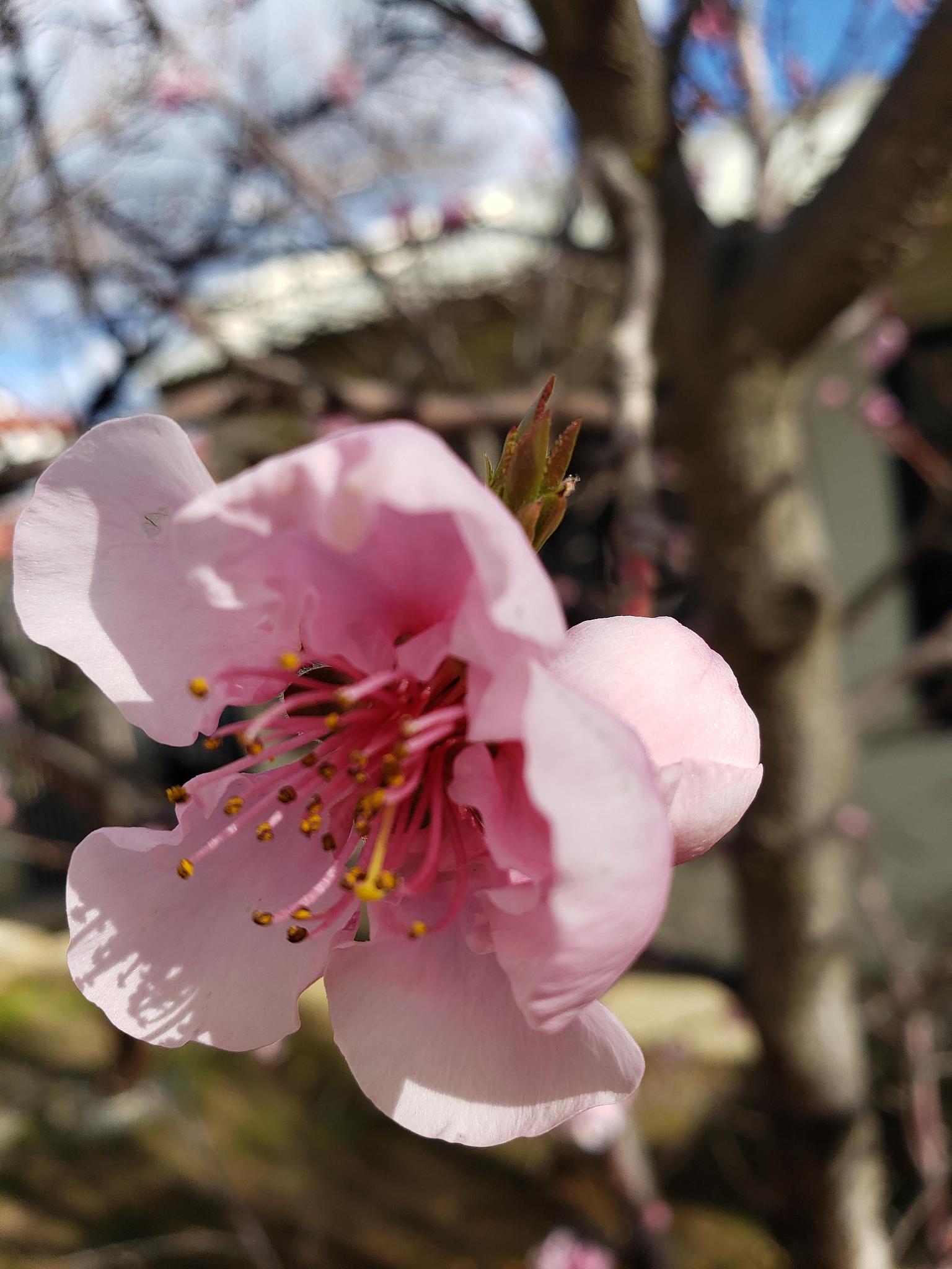 许昌职业学院园艺技术专业介绍