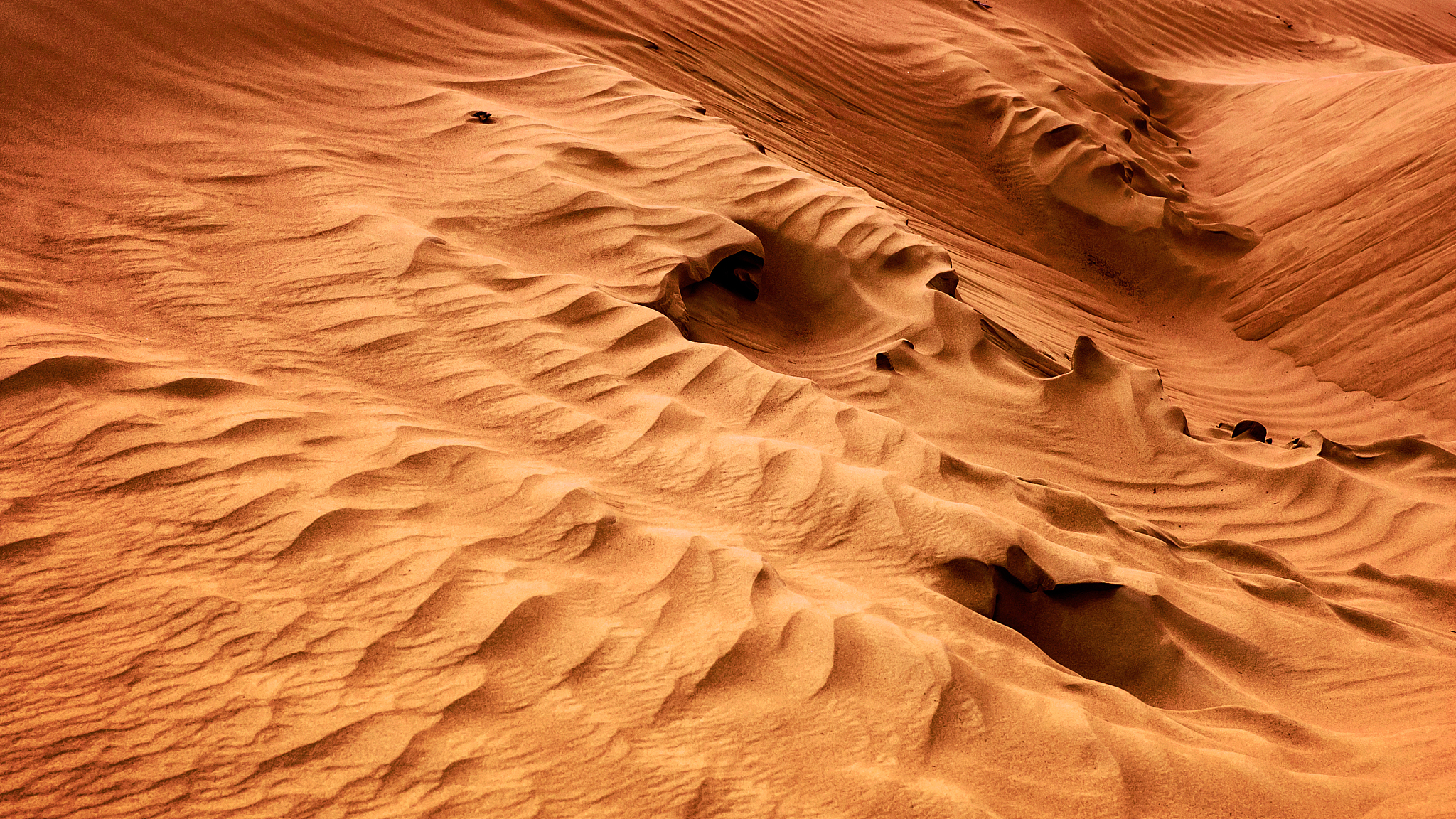 Dais-CMX16+ 系统手动操作 I/O 数据写入 CX 和 DX