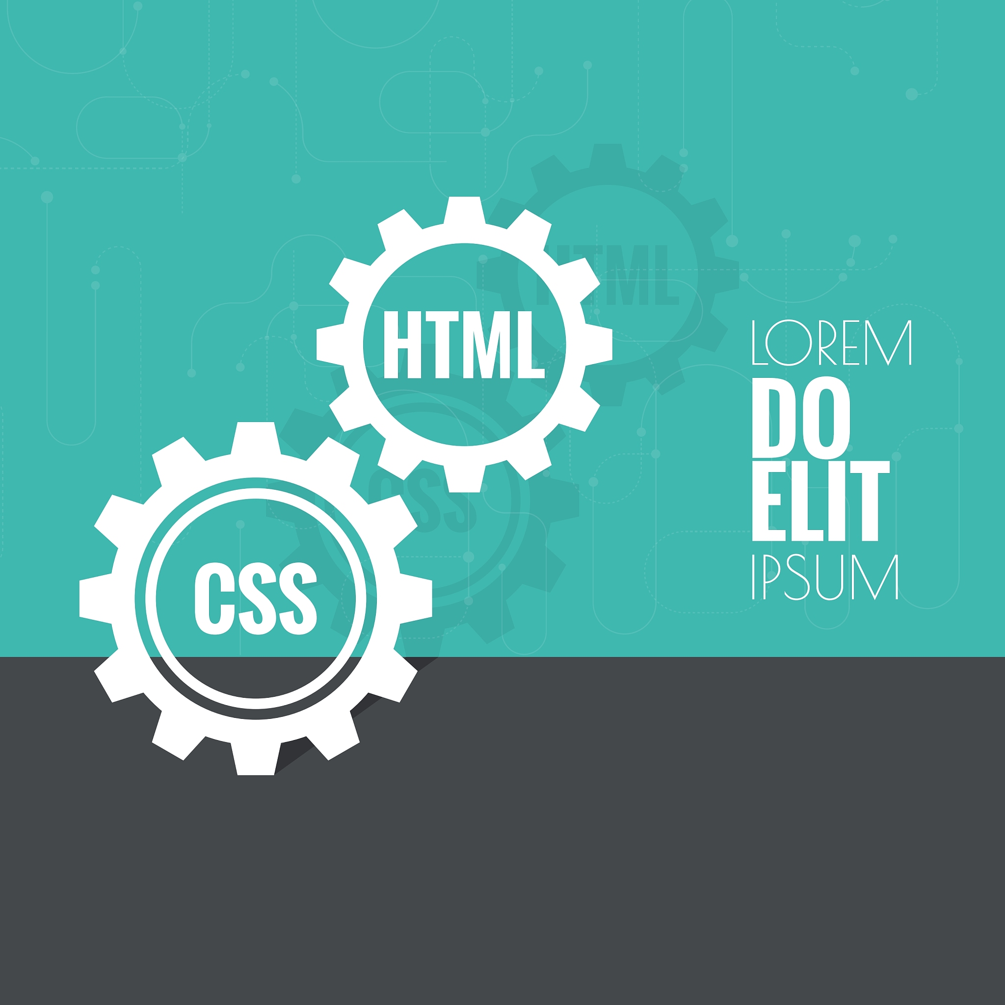 小学语文新课标解读：培养语言能力、阅读理解和文化素养