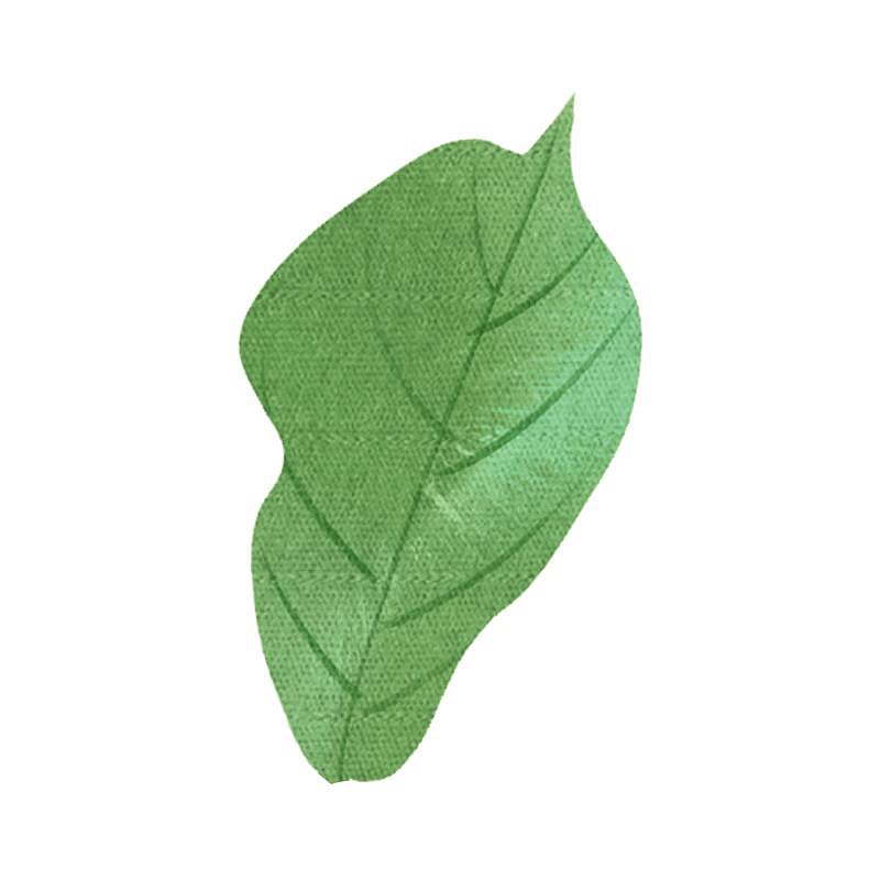 植物叶片表面的蜡质的主要成分是什么