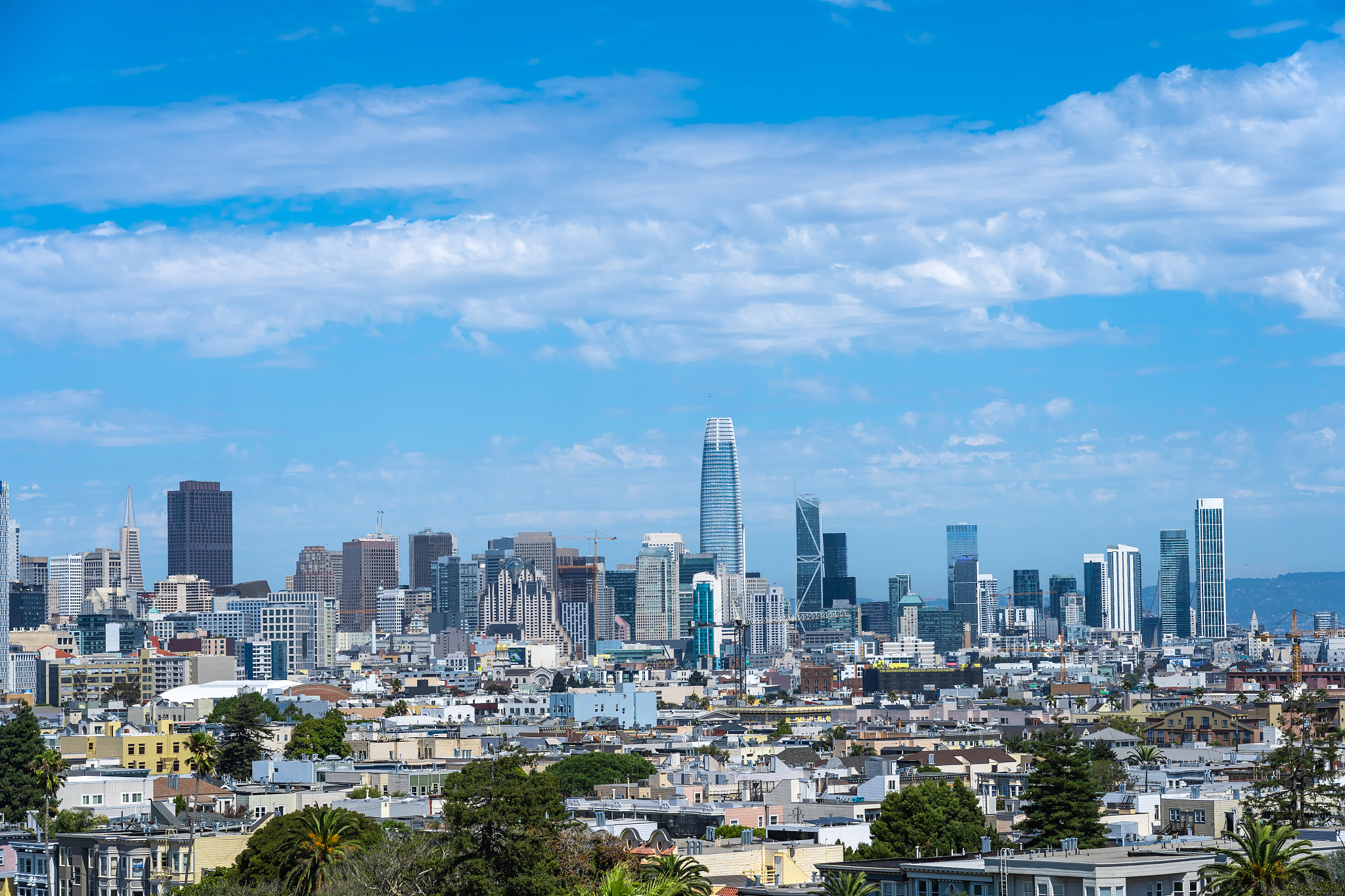 skyline of san francisco view from dolores park