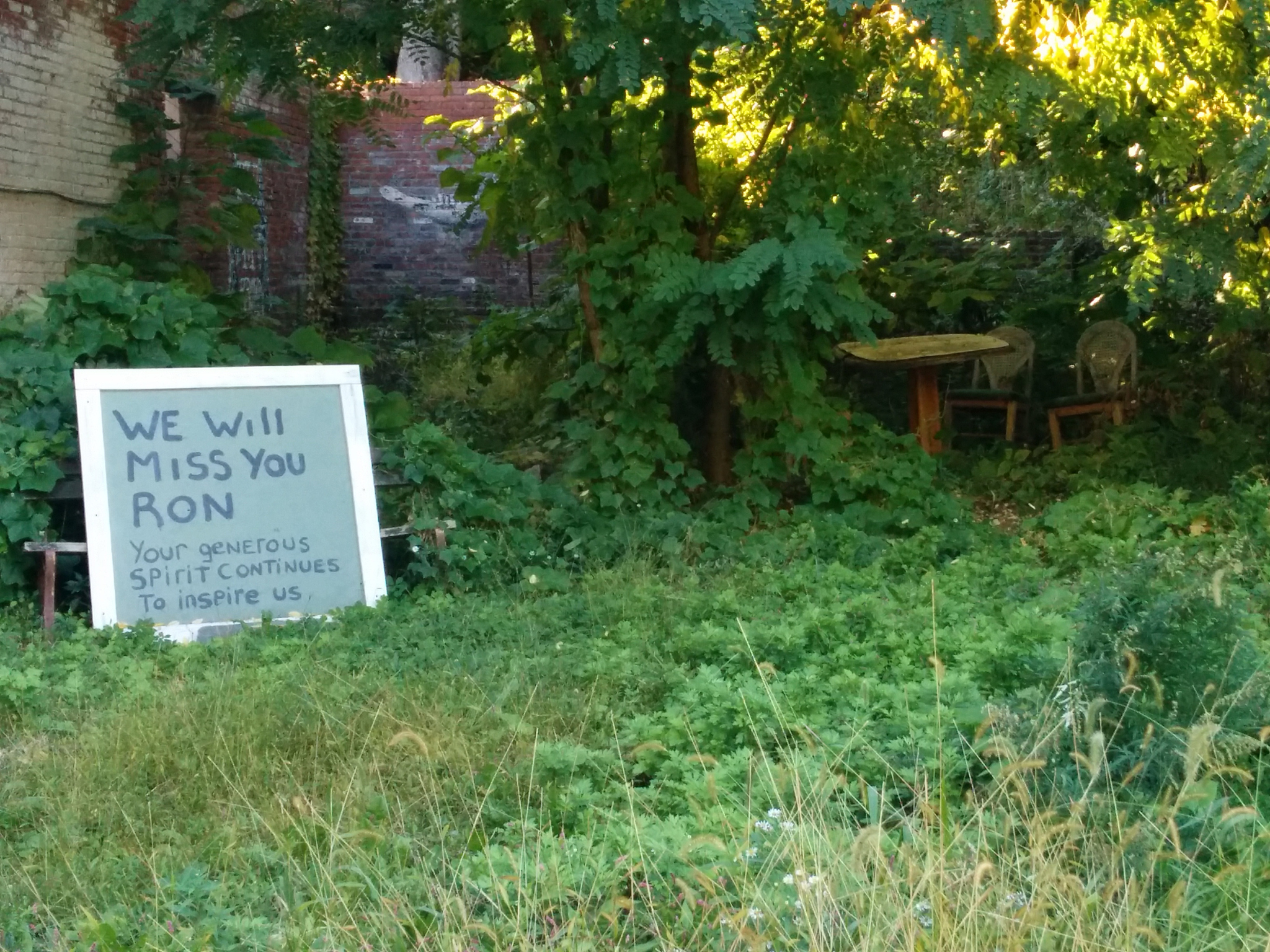 维持性血液透析患者营养不良与慢性炎症的复杂关系