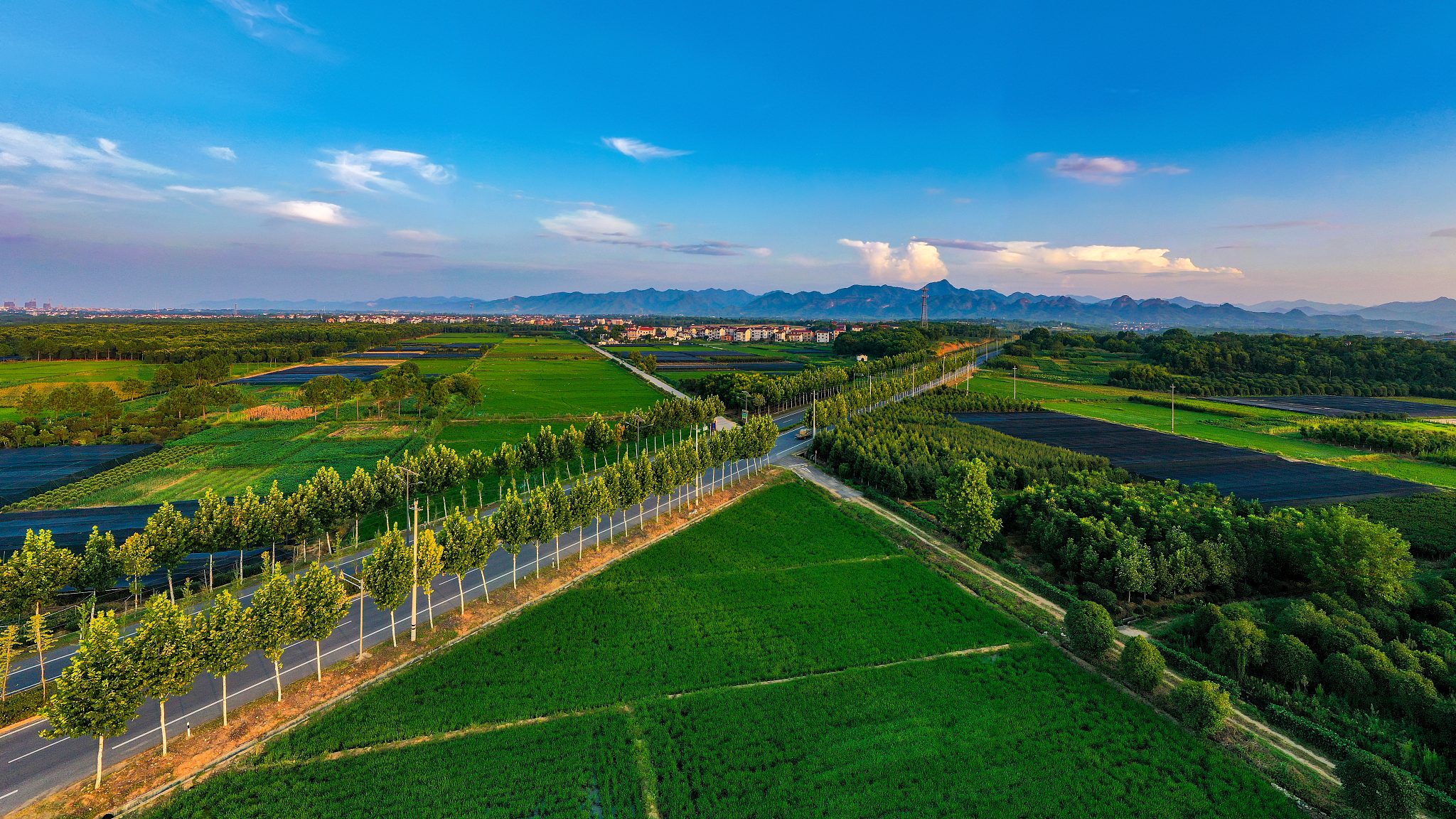 特色小镇未来发展趋势预测：产业升级、绿色发展、文化创意等方向