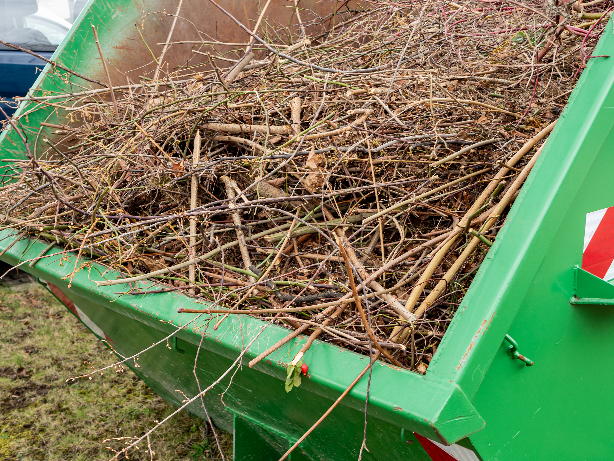 唐山职业技术学院园艺技术专业：从植物到园林，学什么？就业前景如何？