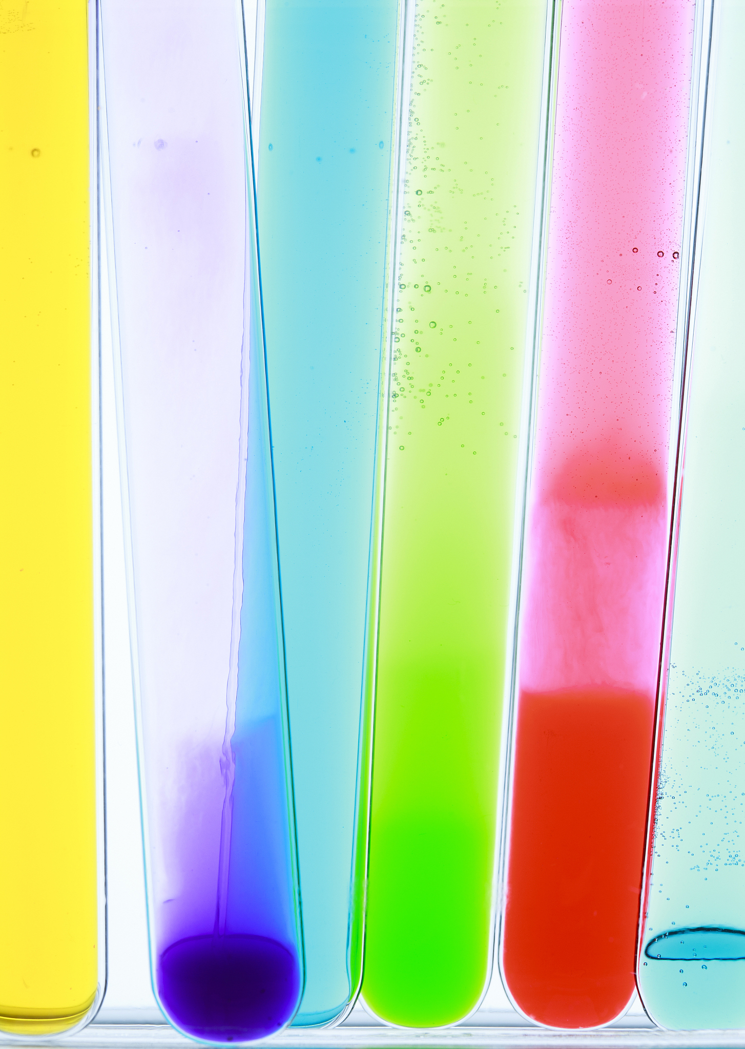 小学生的小实验有哪些