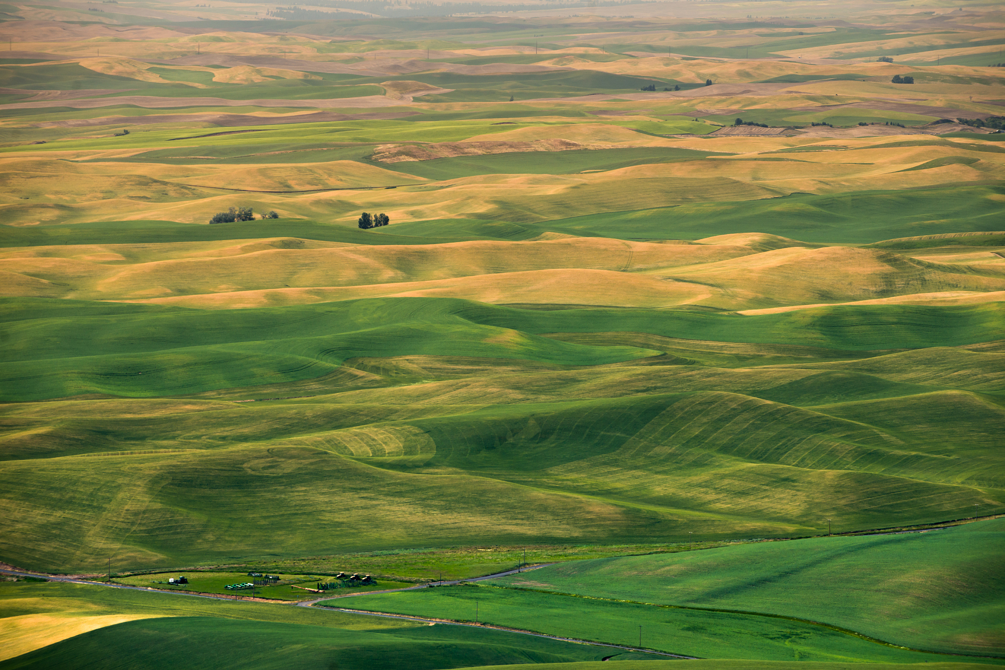 aerial view of agricultural landscape