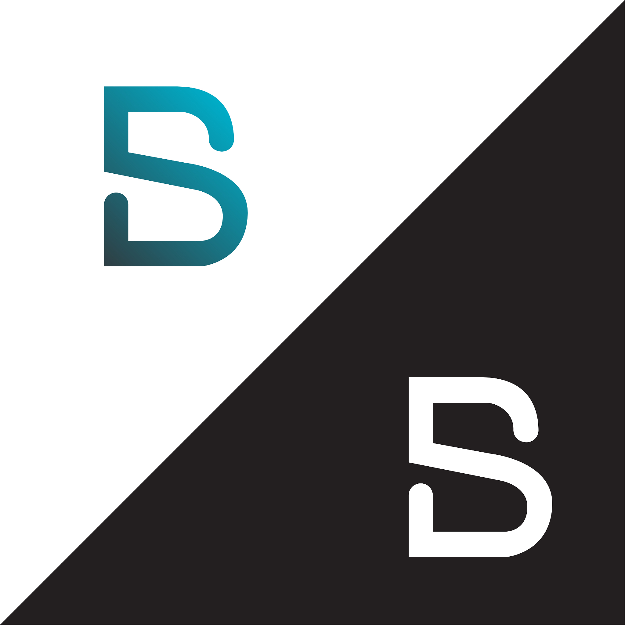 initial letter sb linked design template