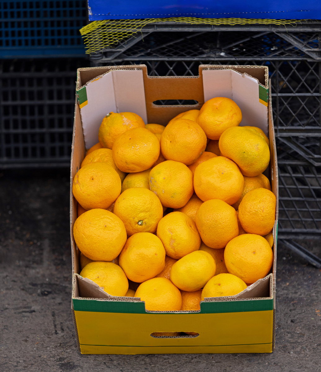 雅安特产有哪些可以带走的，