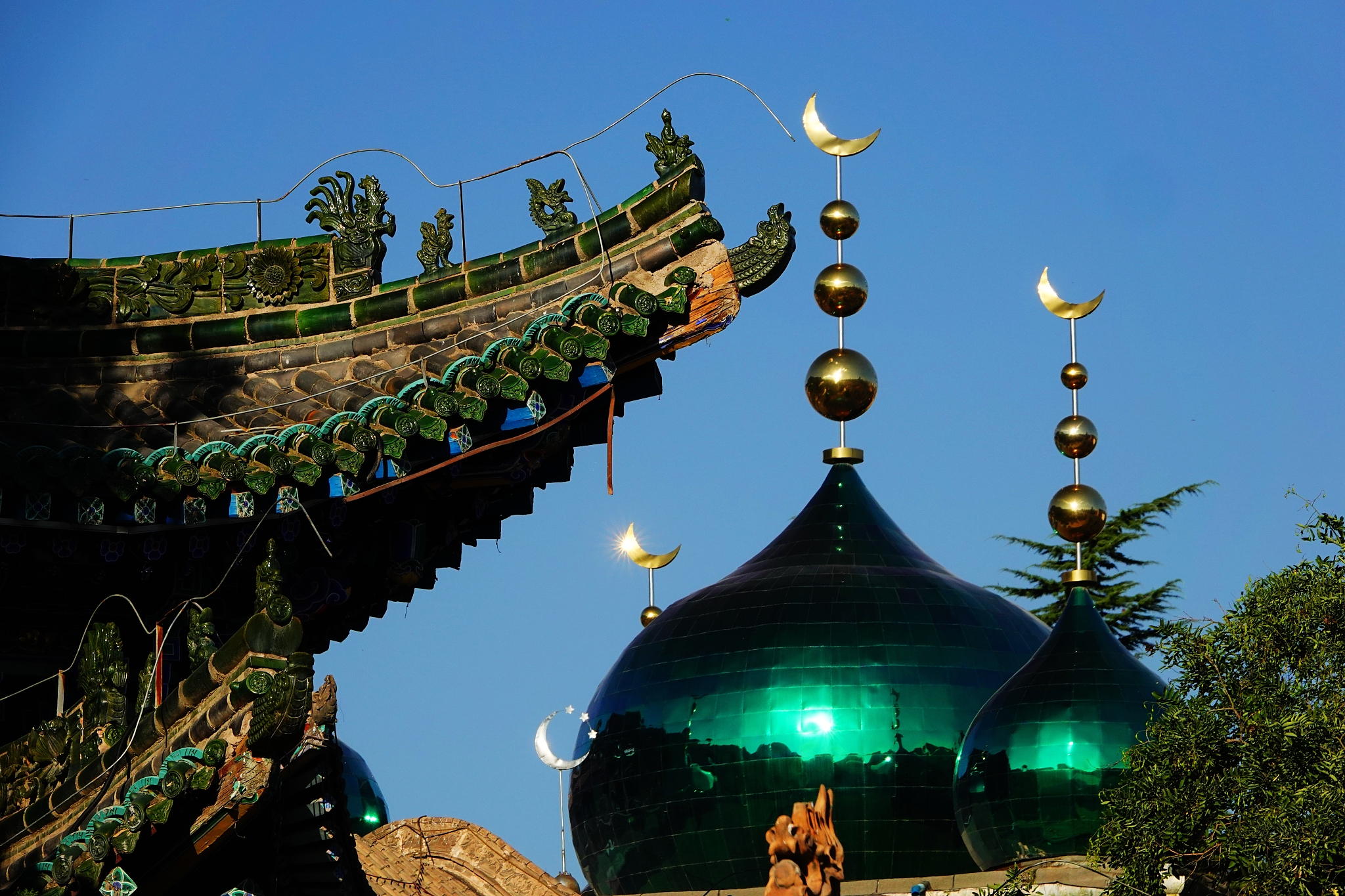 在甘肃读早期教育专业可以去哪些学校