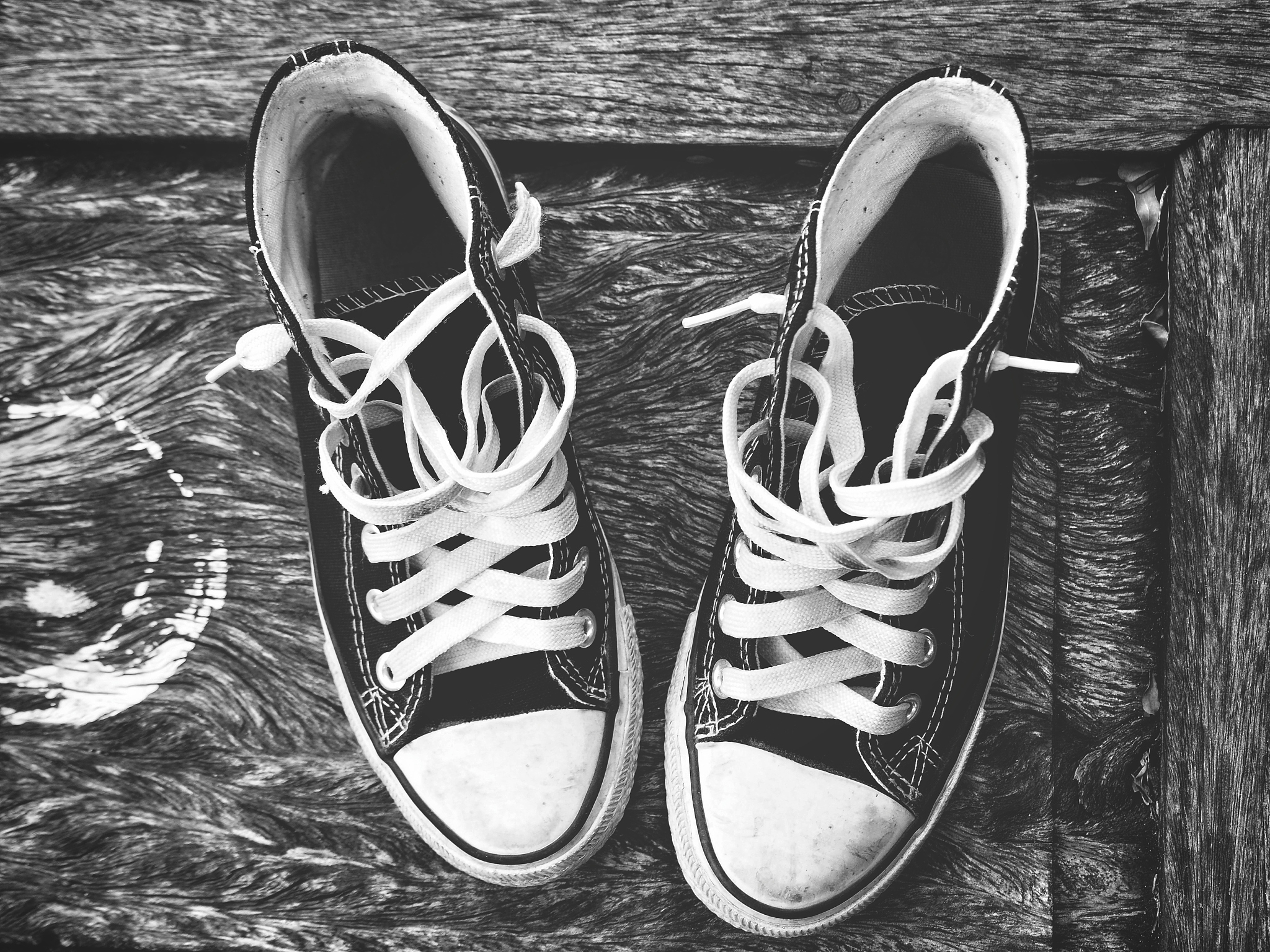 翻译找到Dior品牌最流行的运动鞋的高清图片