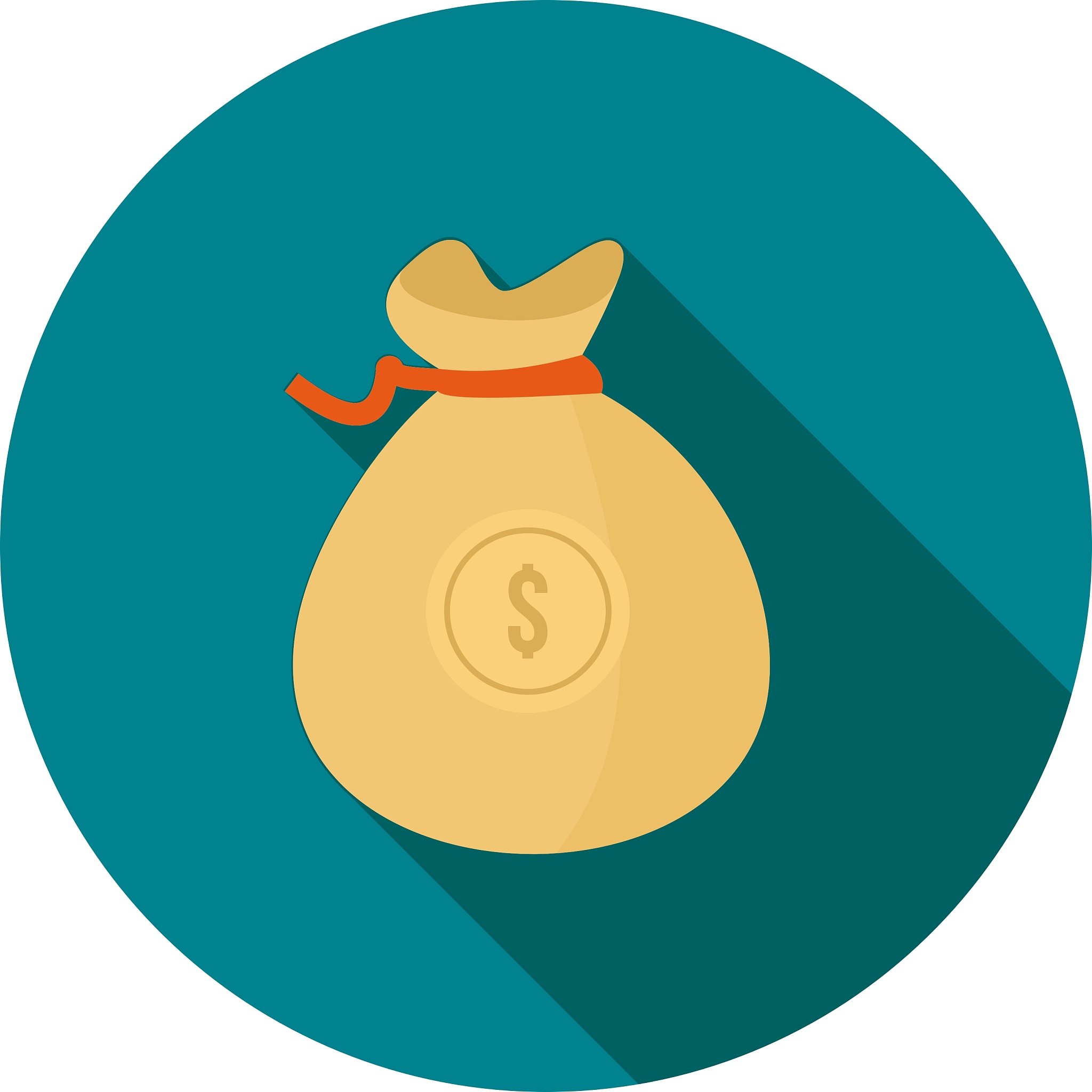 dollar currency with bag