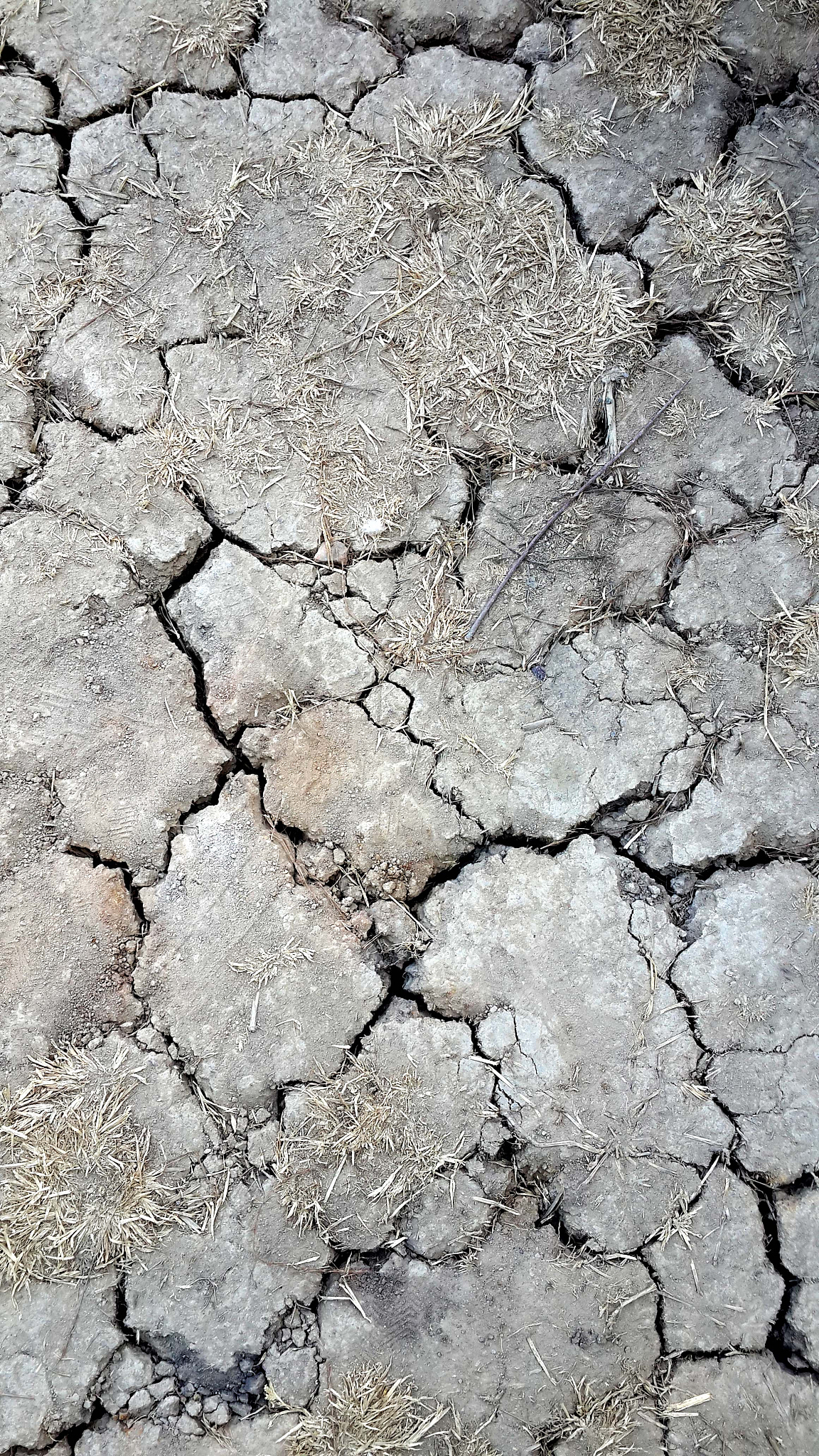 生态环境损害赔偿协议