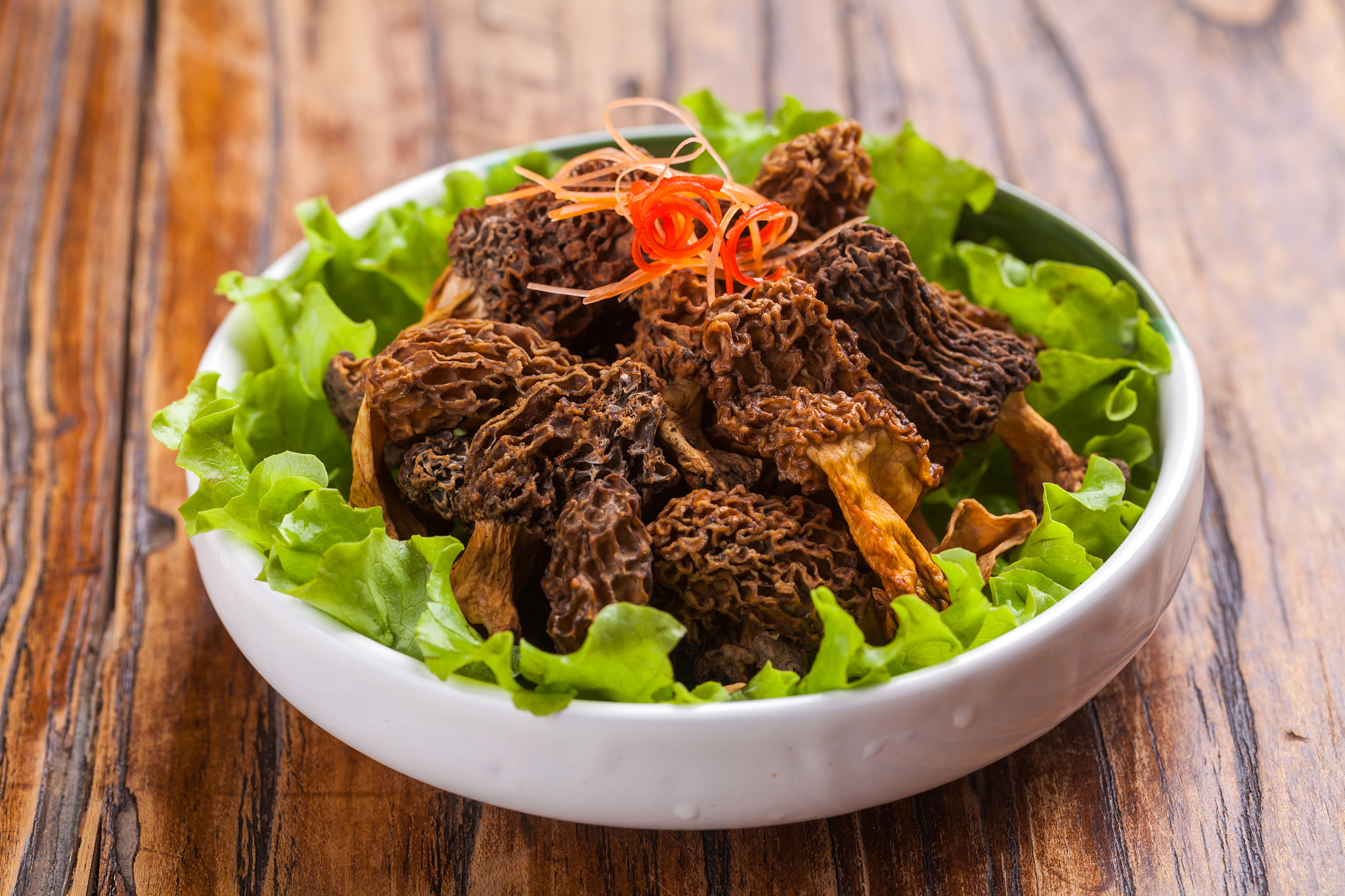 山西药科职业学院食品生物技术专业就业前景如何