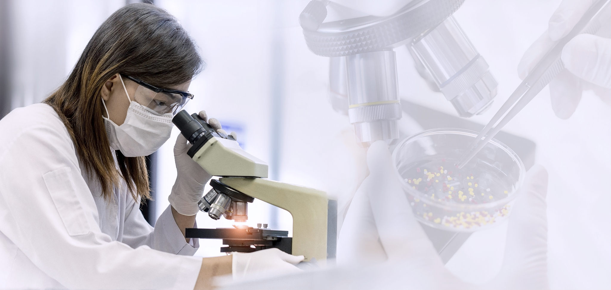 生物生态学和环境微生物学领域有影响力的期刊有哪些