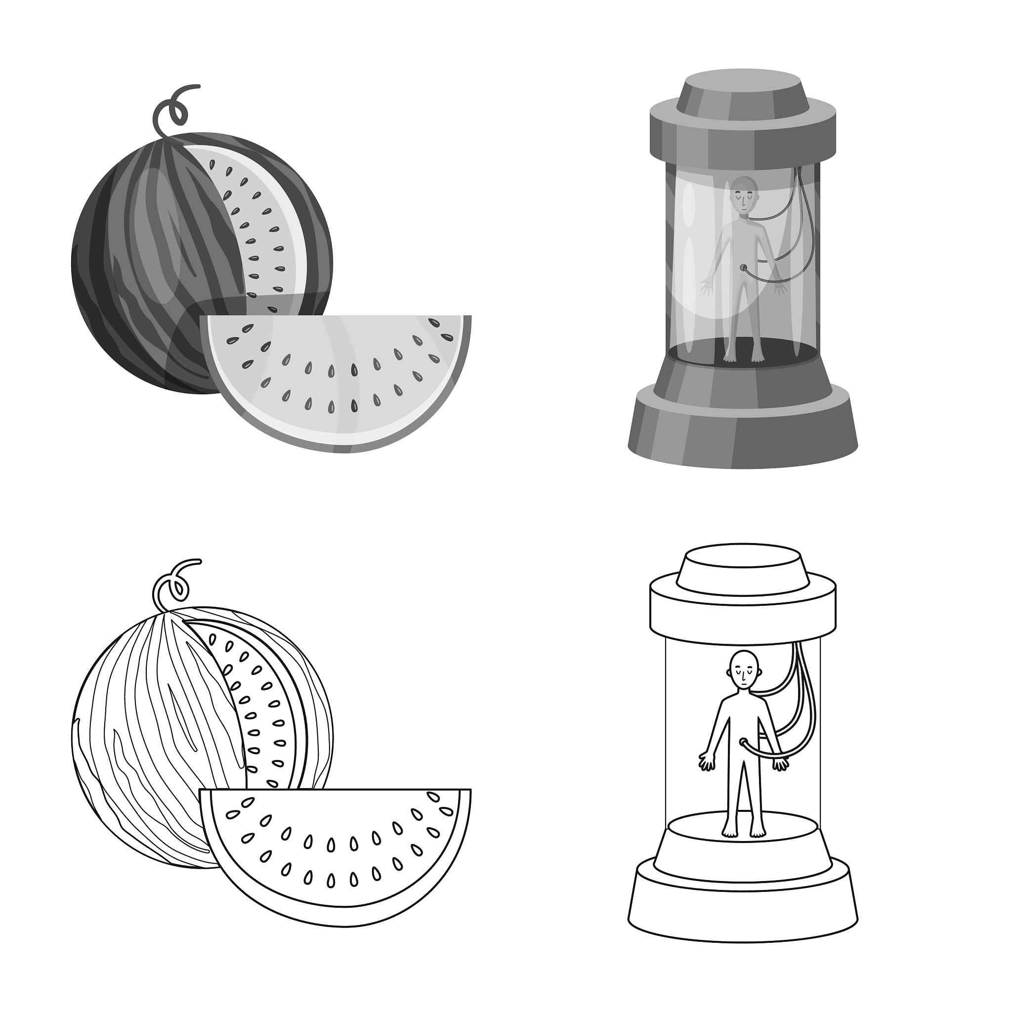 实验材料和程序 | 详细指南