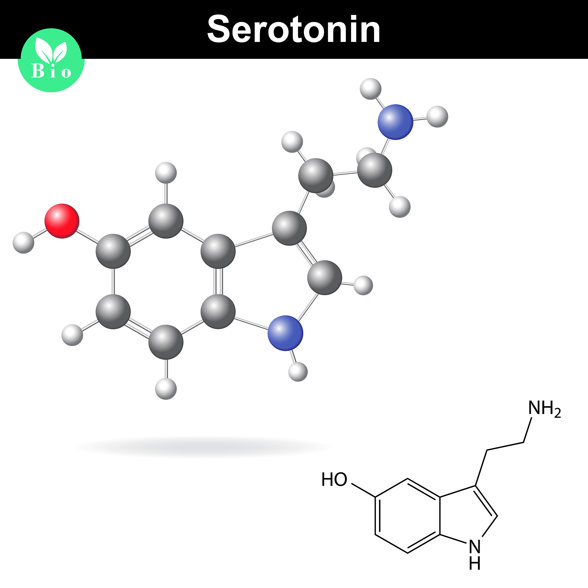 serotonin molecular structure