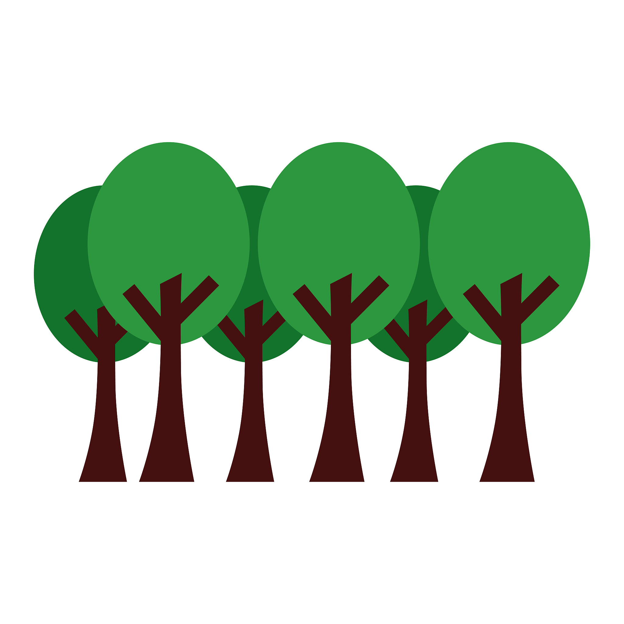 我的蚂蚁森林之旅：从能量收集到环保行动的蜕变