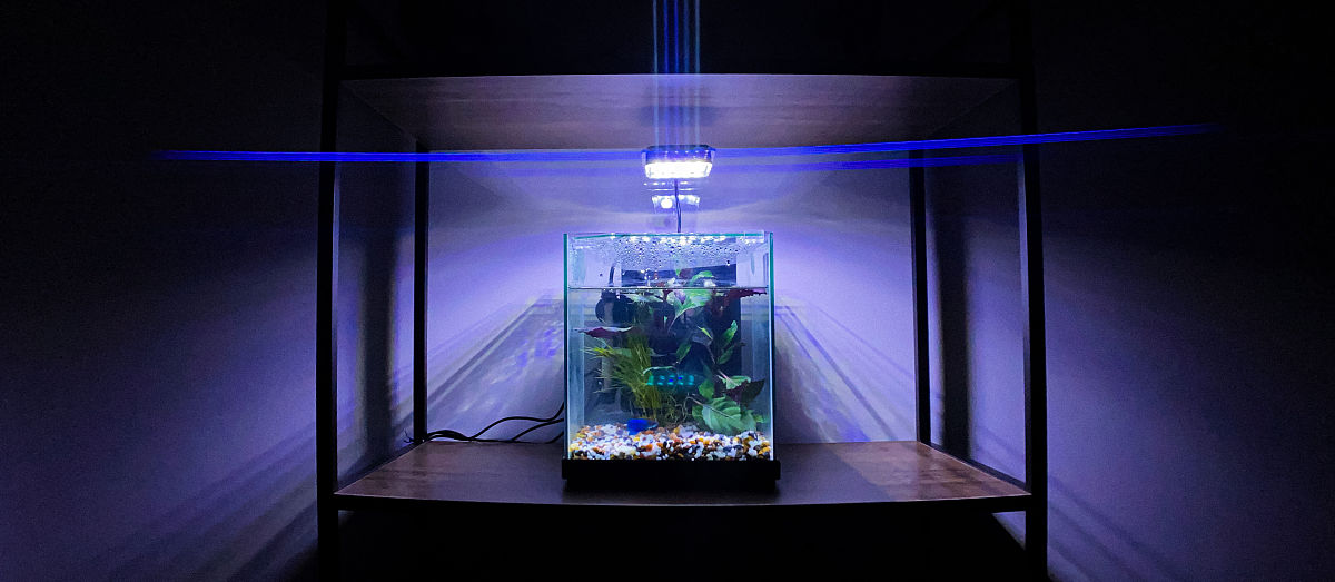 爆藻灯色温指南：4000K-20000K 的光谱选择