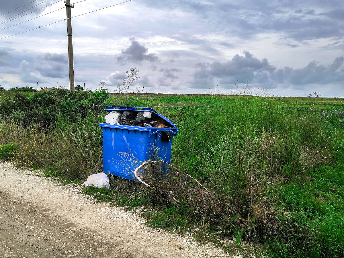 乡村生活垃圾处理与管理研究综述
