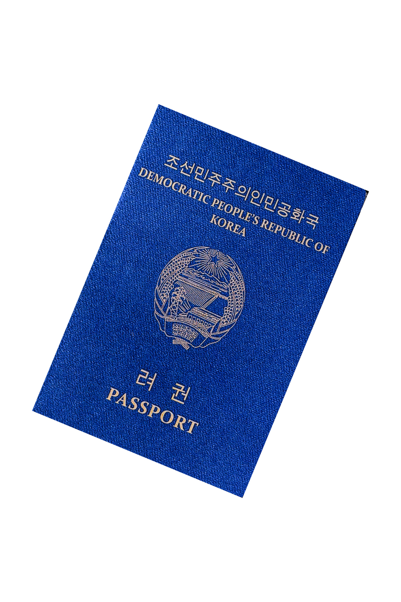 Passport Submitted for Nationality Update - Hanlin Chen