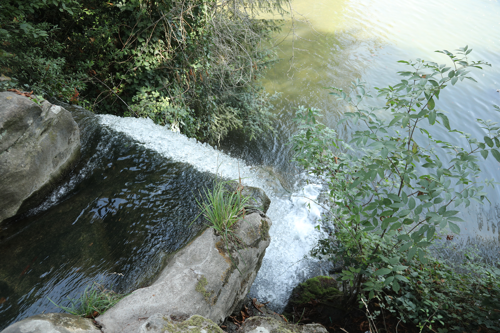 water fall