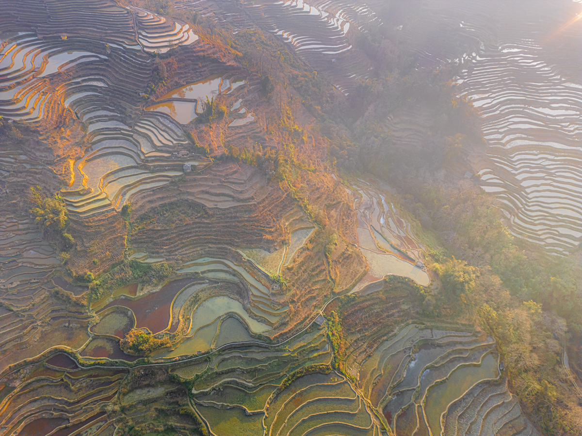 红河哈尼梯田文化传承学校怎么样？