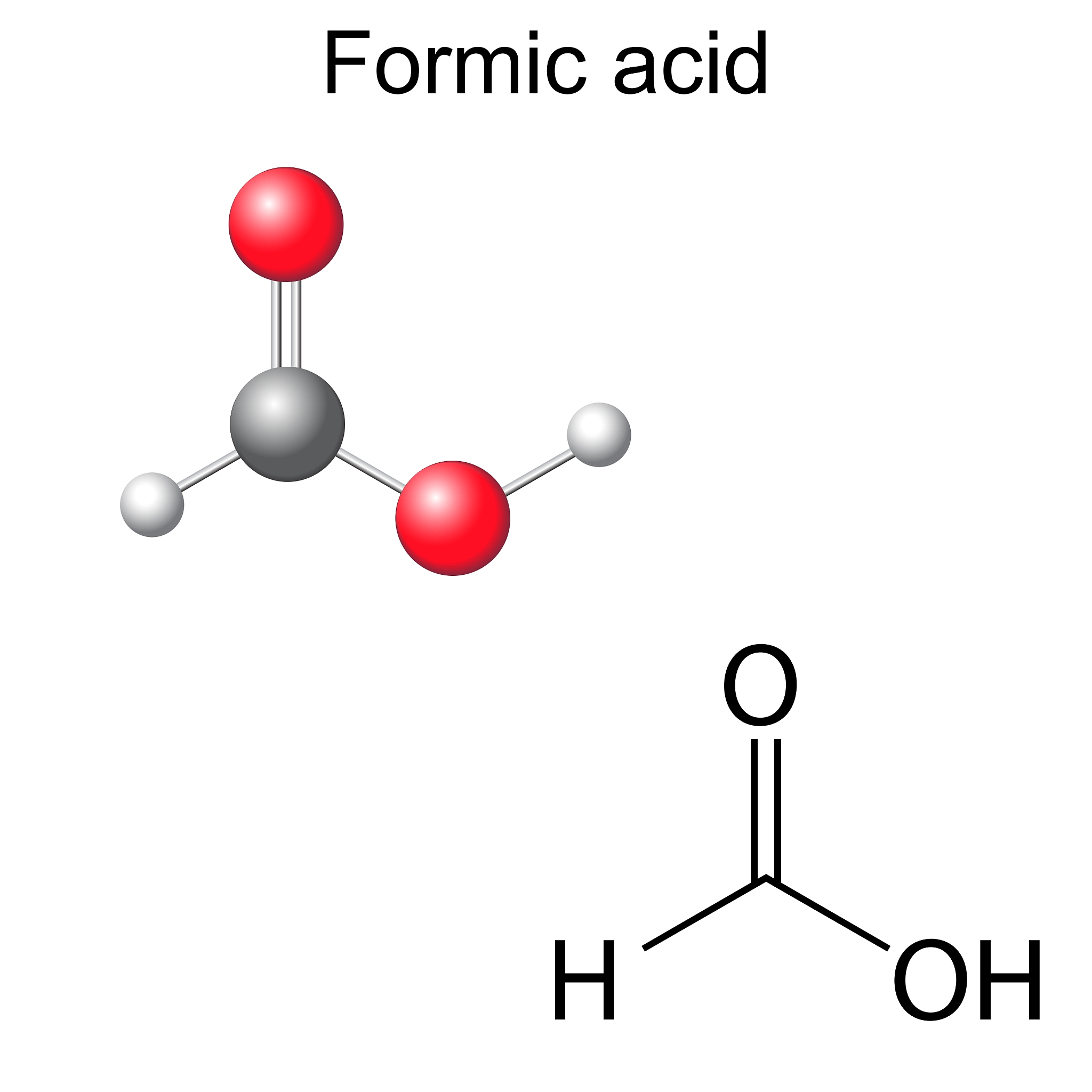 chemical formula and model of formic acid