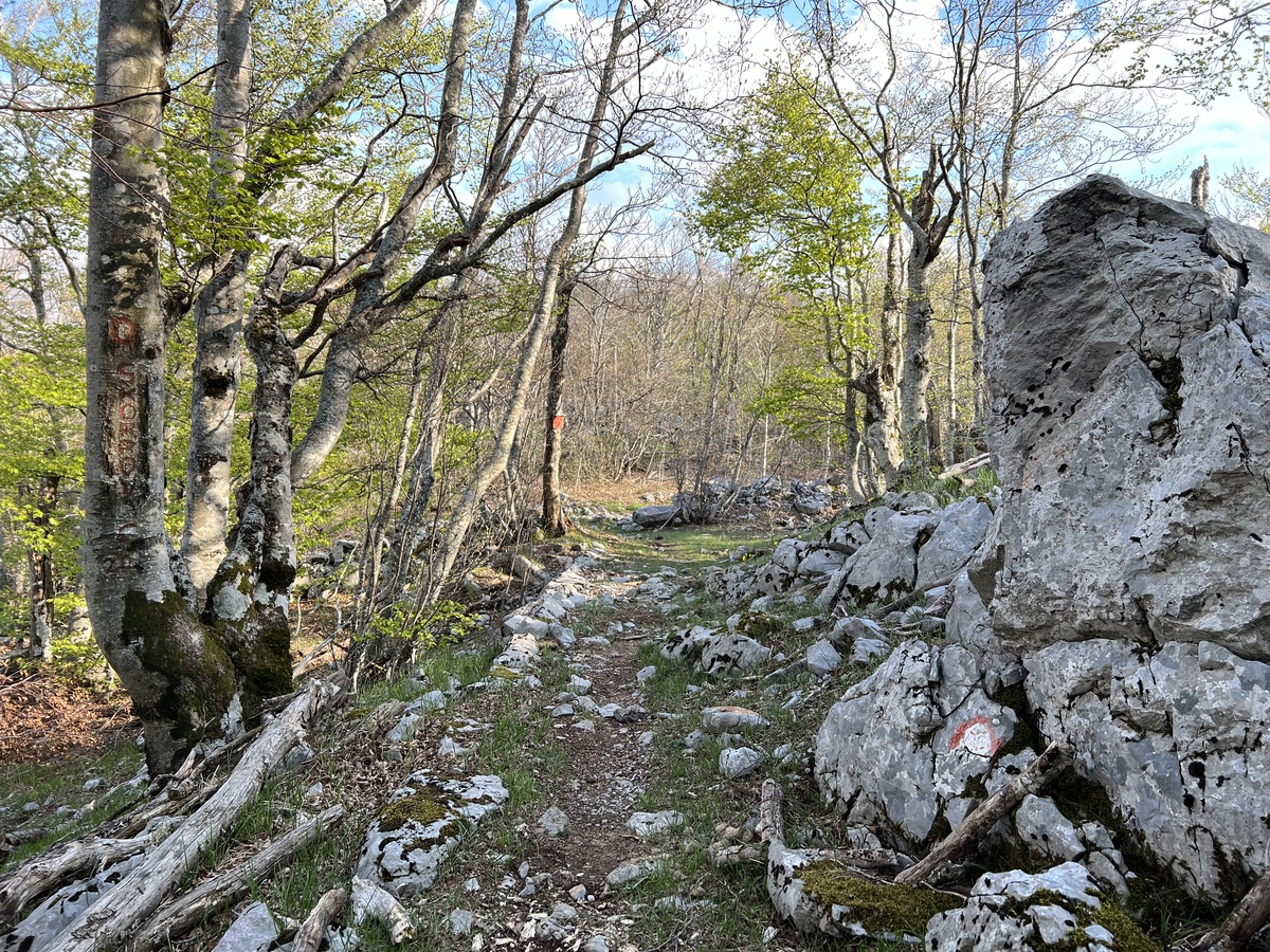 如何保护兰州市的自然资源