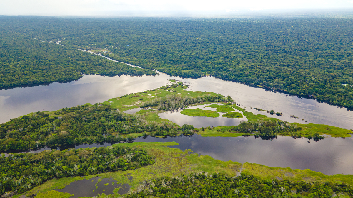 构建东南亚绿色屏障的基本概念比如提出时间提出目的成效如何等