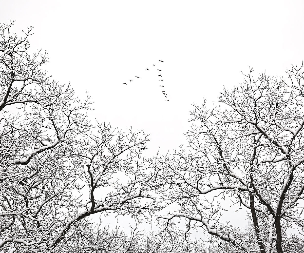 请问999X999等于多少