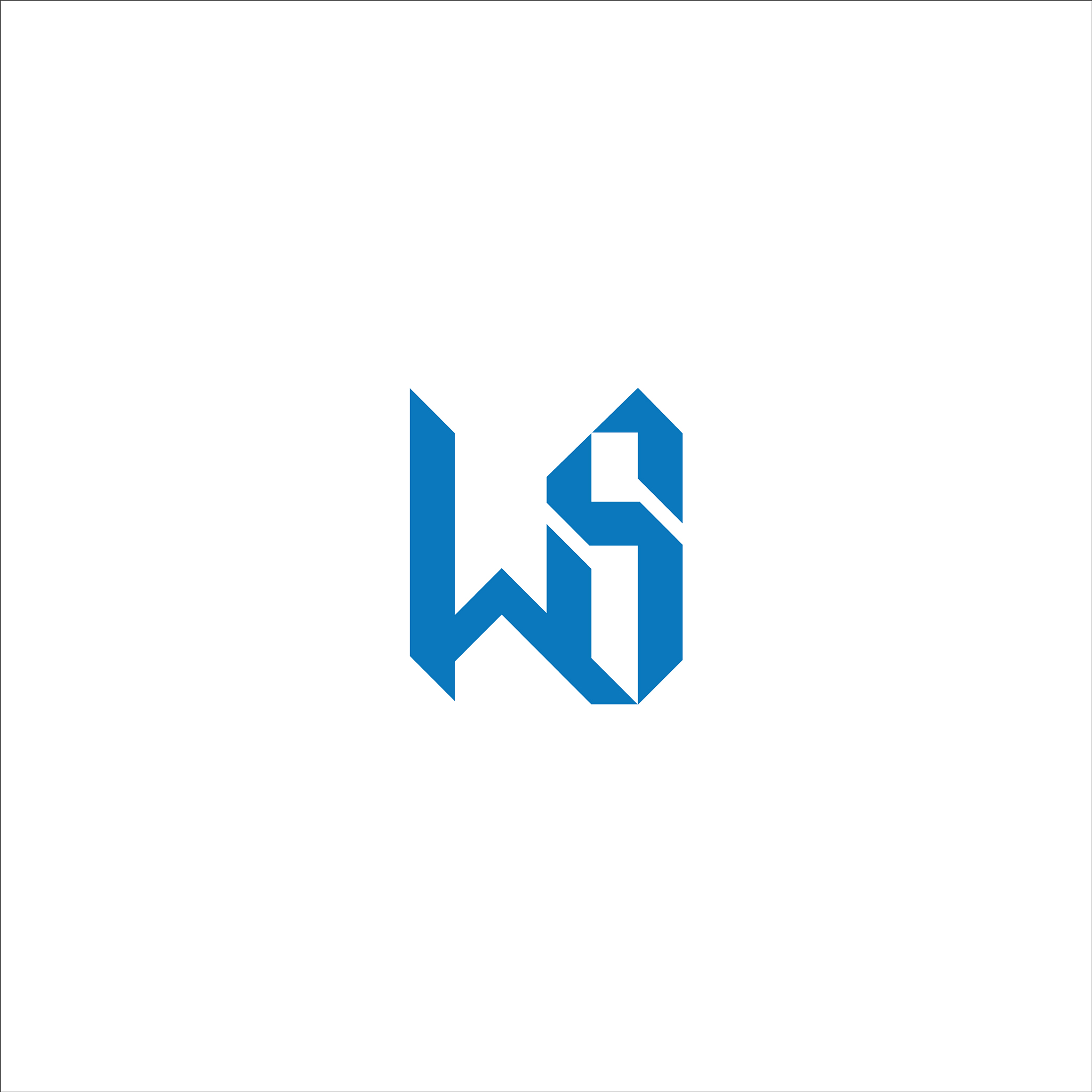 initial letter ws or sw logo design template