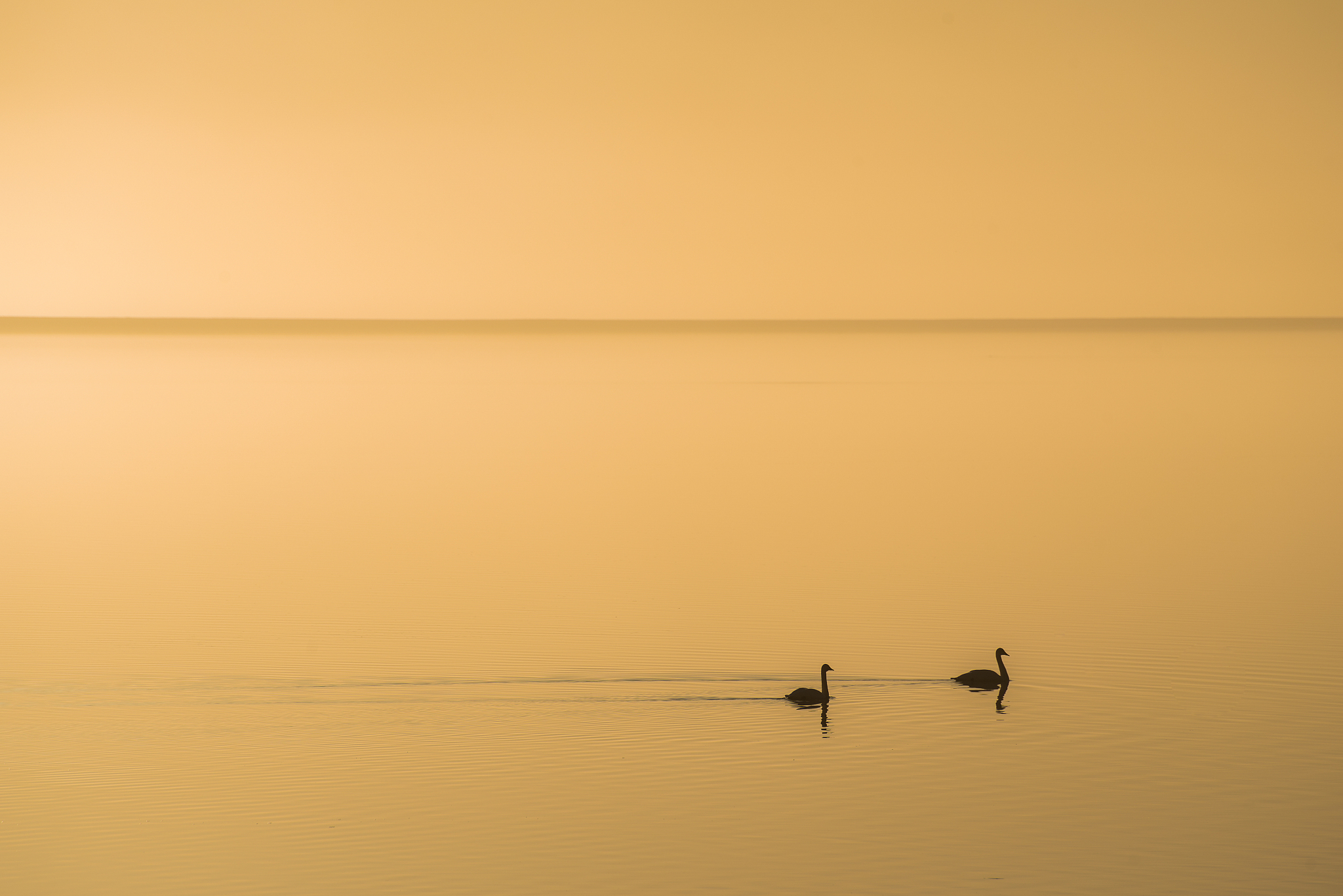 落霞孤鹜，秋水长天：10首意境诗歌，感受自然之美