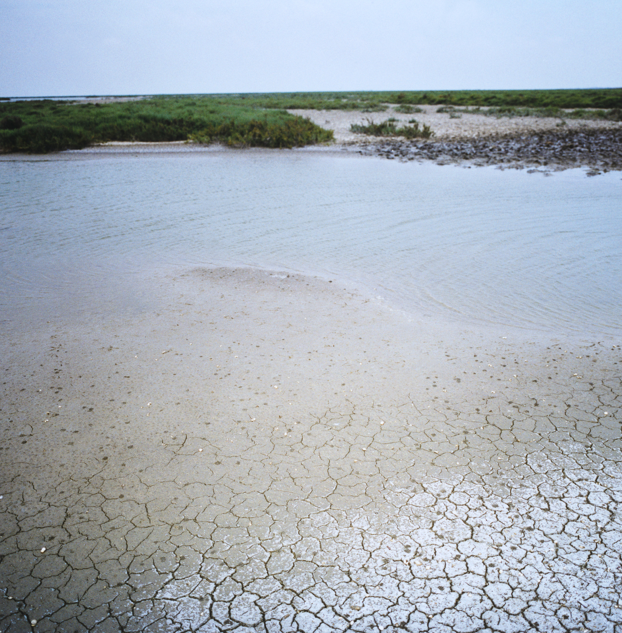 cracked soil near water