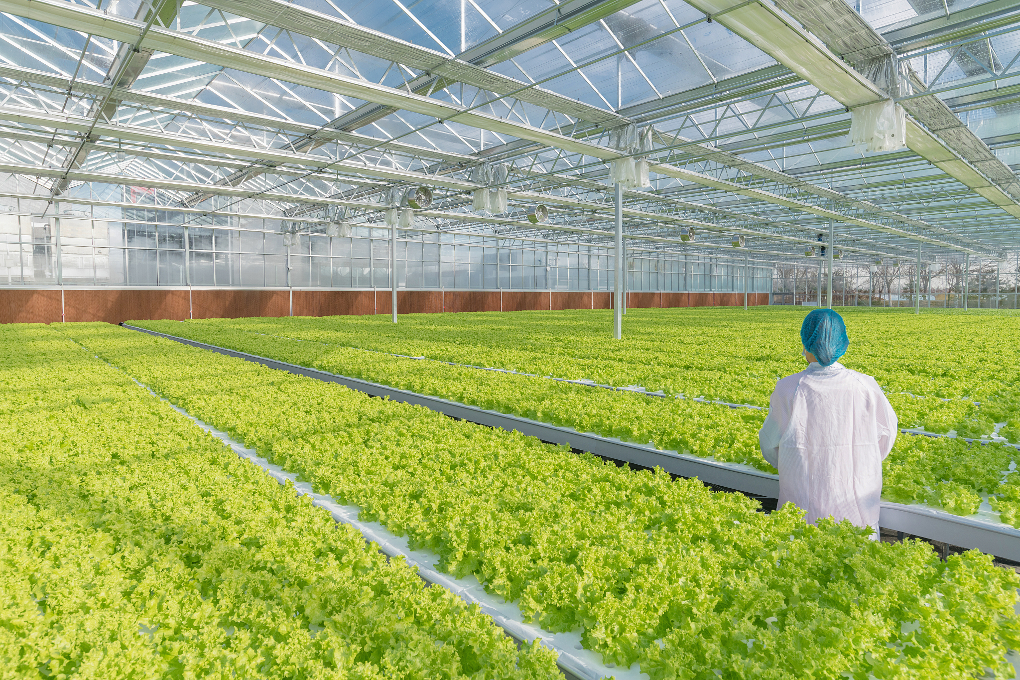 日照市农业学校电子技术应用