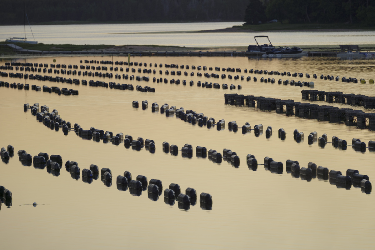 广西职业技术学院水产养殖技术专业怎么样？ - 培养水产行业人才的优质选择