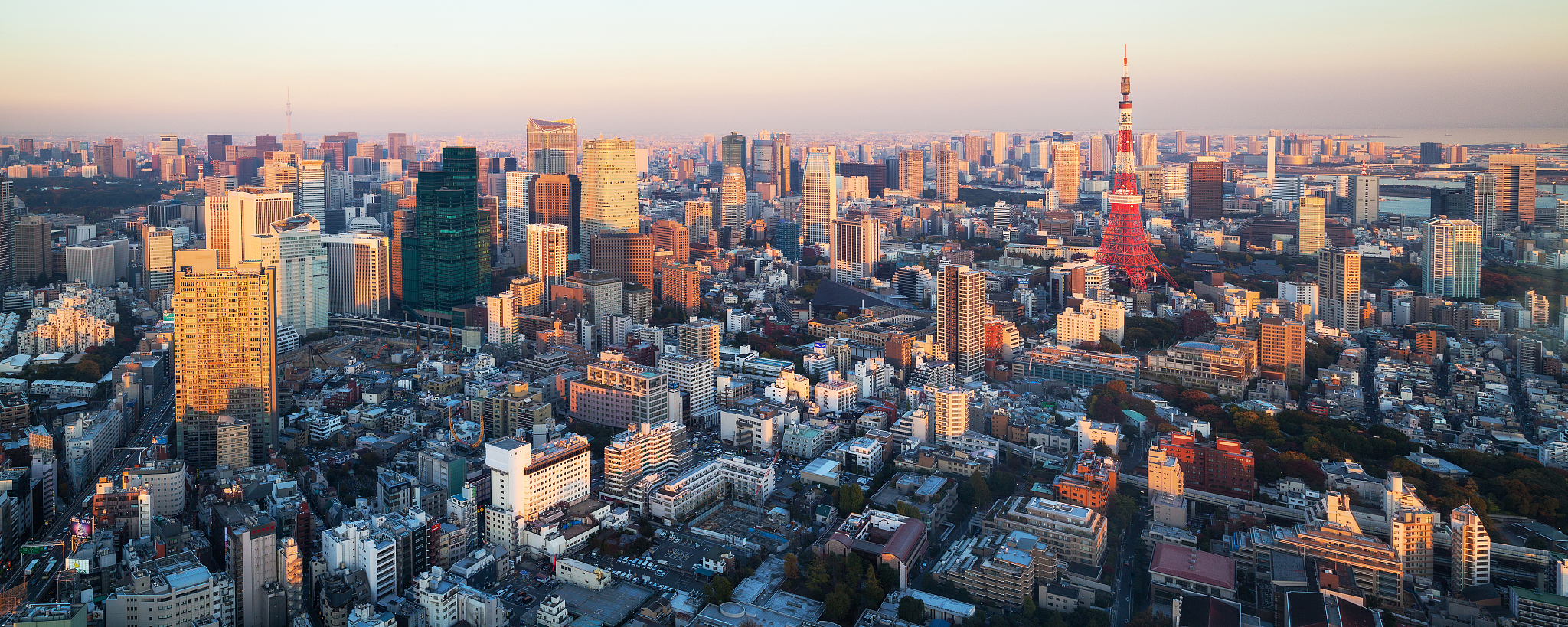 japan, tokyo, skyline with tokyo tower