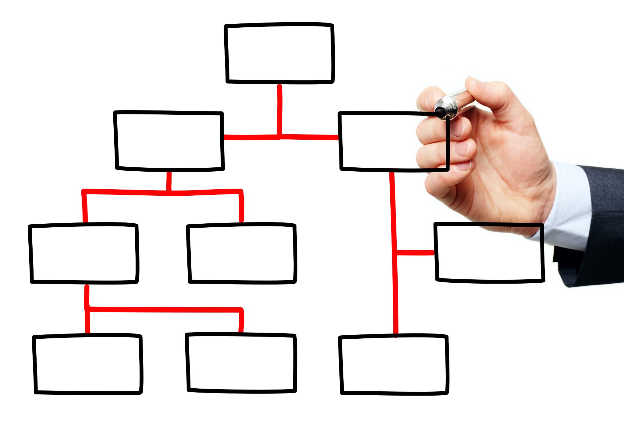 项目经理完成项目进度计划之后，采购专员表示一个采购已经执行完成。项目经理应该对以下哪个过程做出调整？
A:定义活动
B:排列活动顺序
C:估算活动时间
D:规划进度