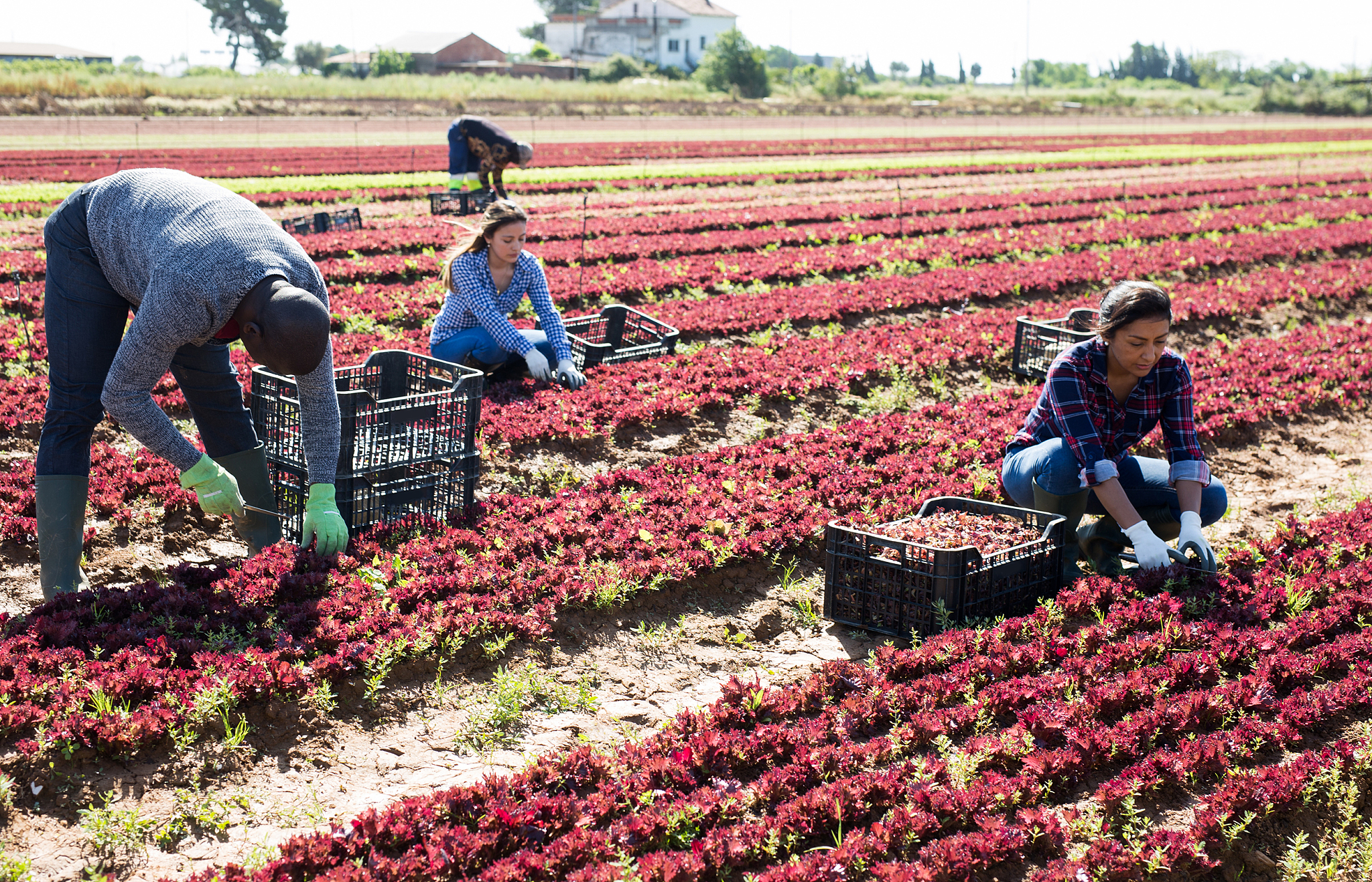 曲靖农业学校2019年五年一贯制大专招生报名电话