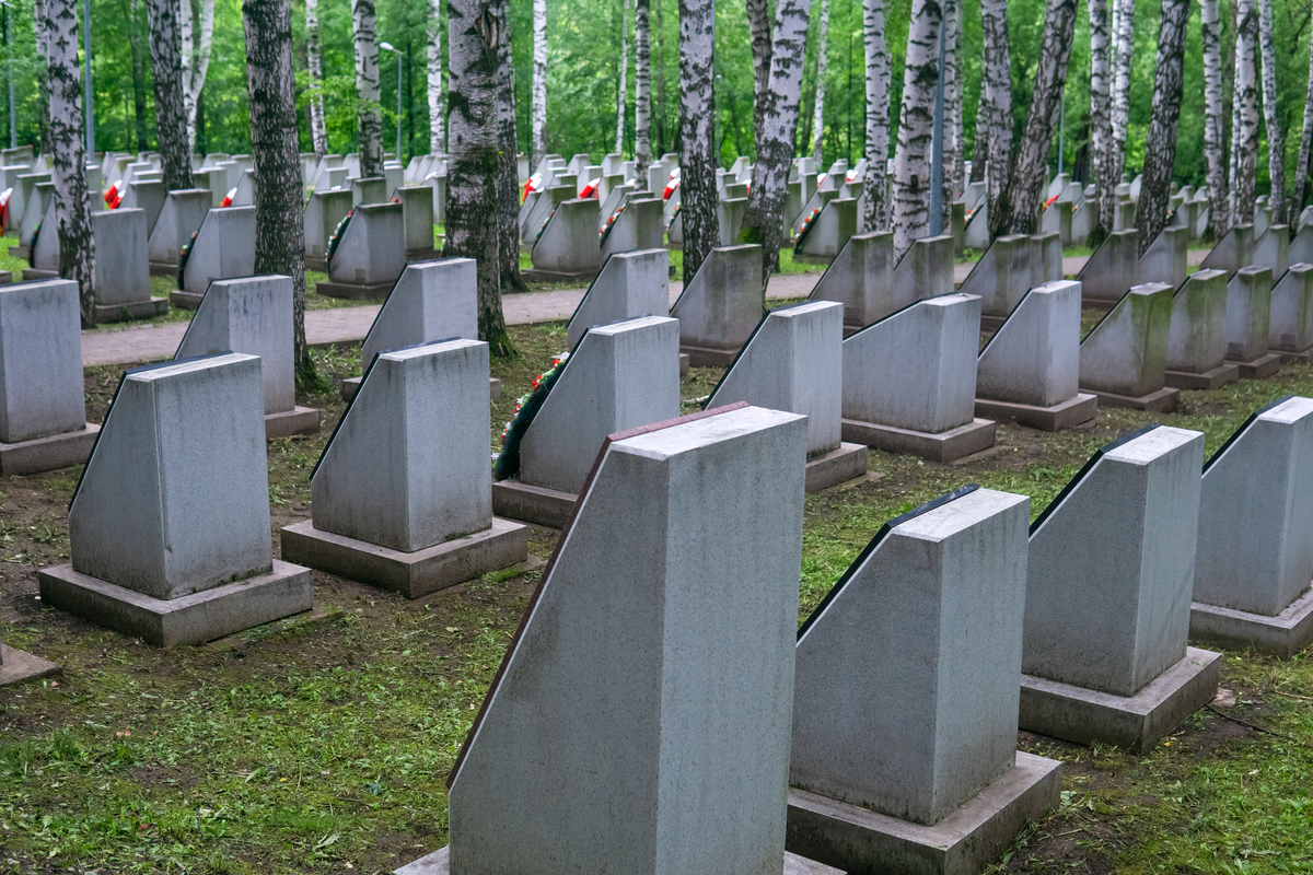 老旧墓区墓穴提档升级改造