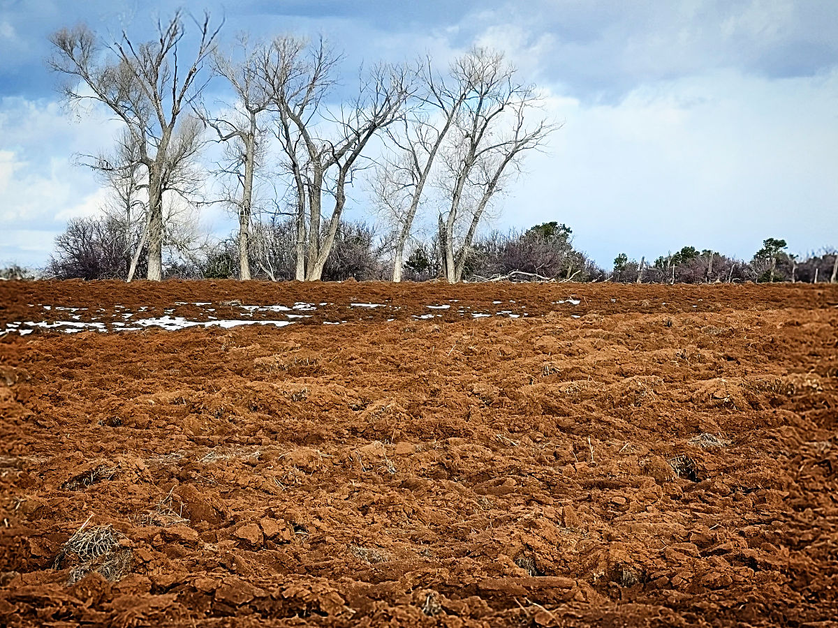 用不同词语写这段话，因此,针对农田土壤中土壤盐碱化与重金属累积状况进行调查和评价,成为国内外研究学者关注的问题。目前国内外有关农田土壤的研究不断增多,其中关于为土壤盐碱化程度、重金属累积特征、空间分异、污染评价、来源解析。